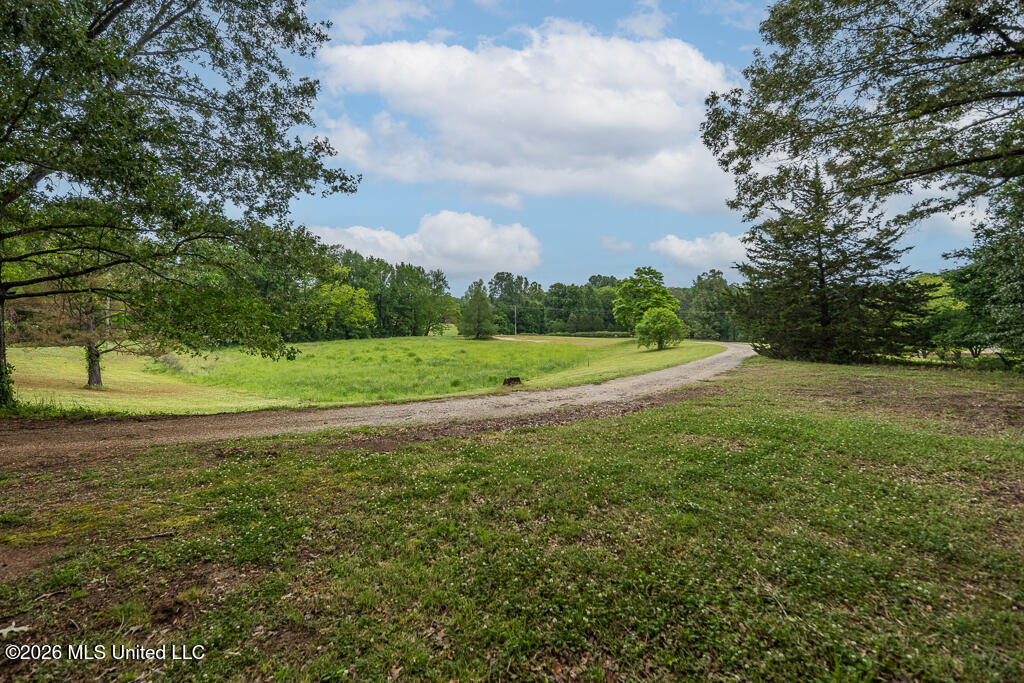 6667 Star Landing Road Property Photo 46