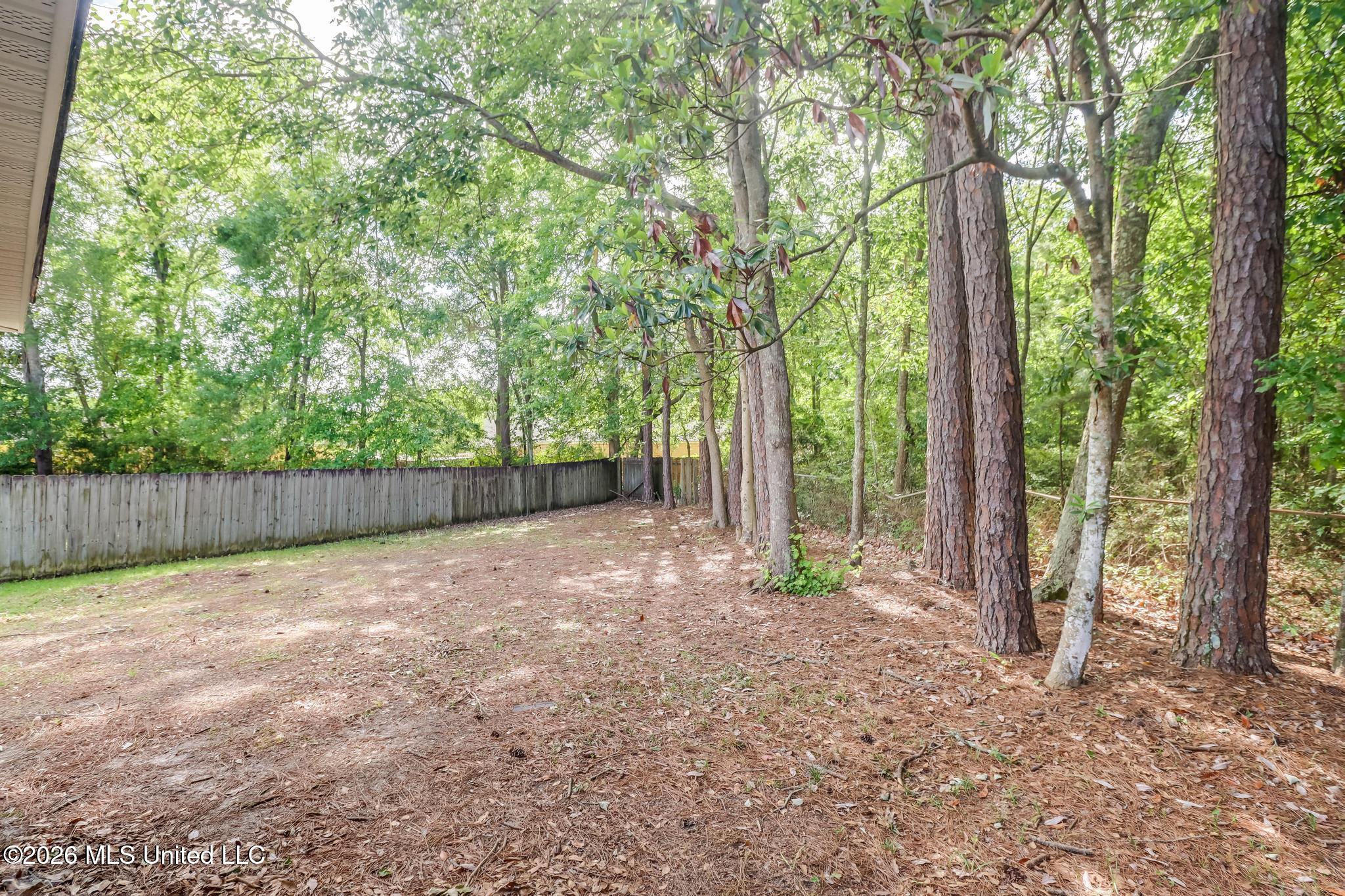 5 Michael Court Property Photo 23