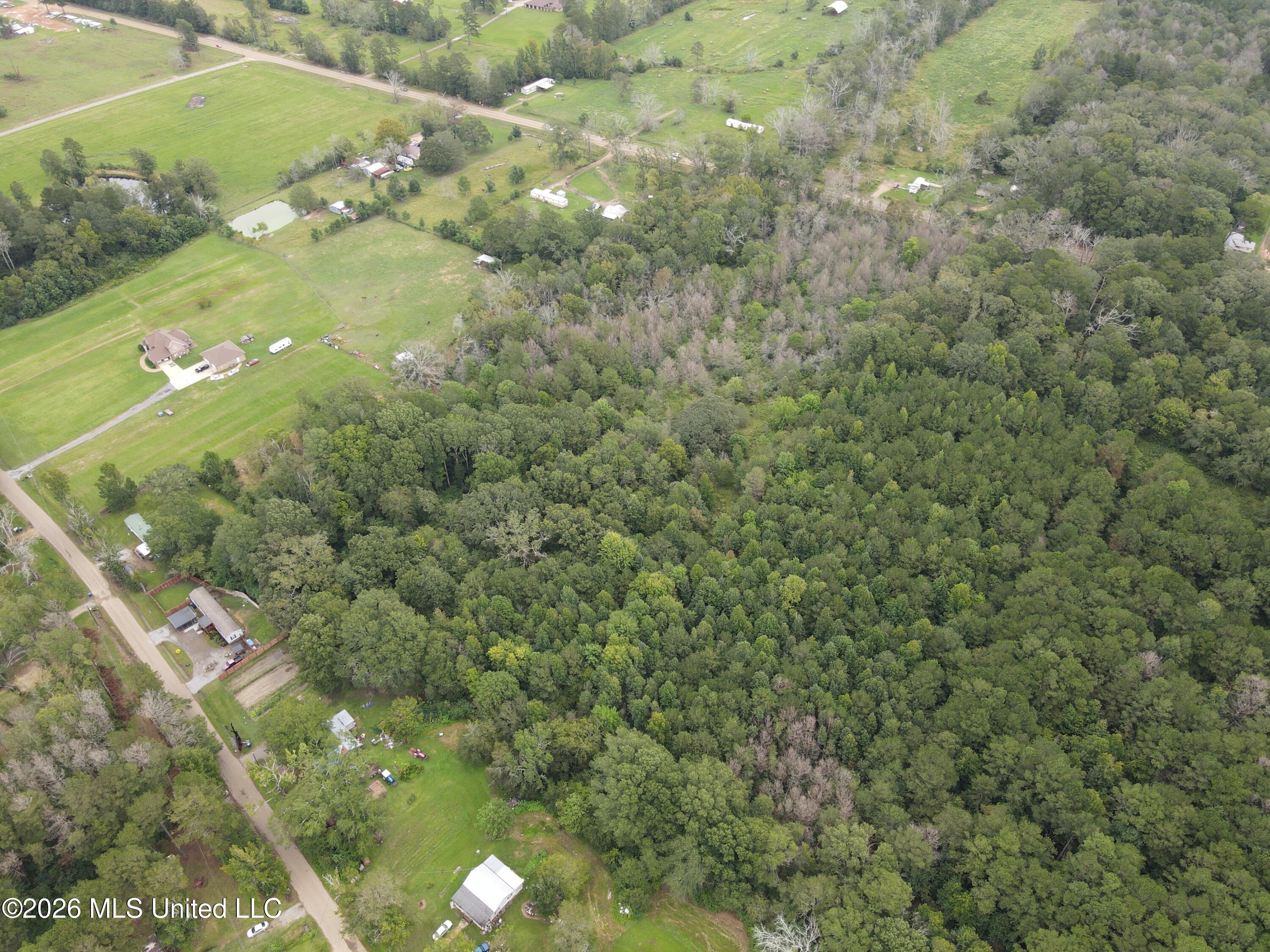 Ms-35 Property Photo 14
