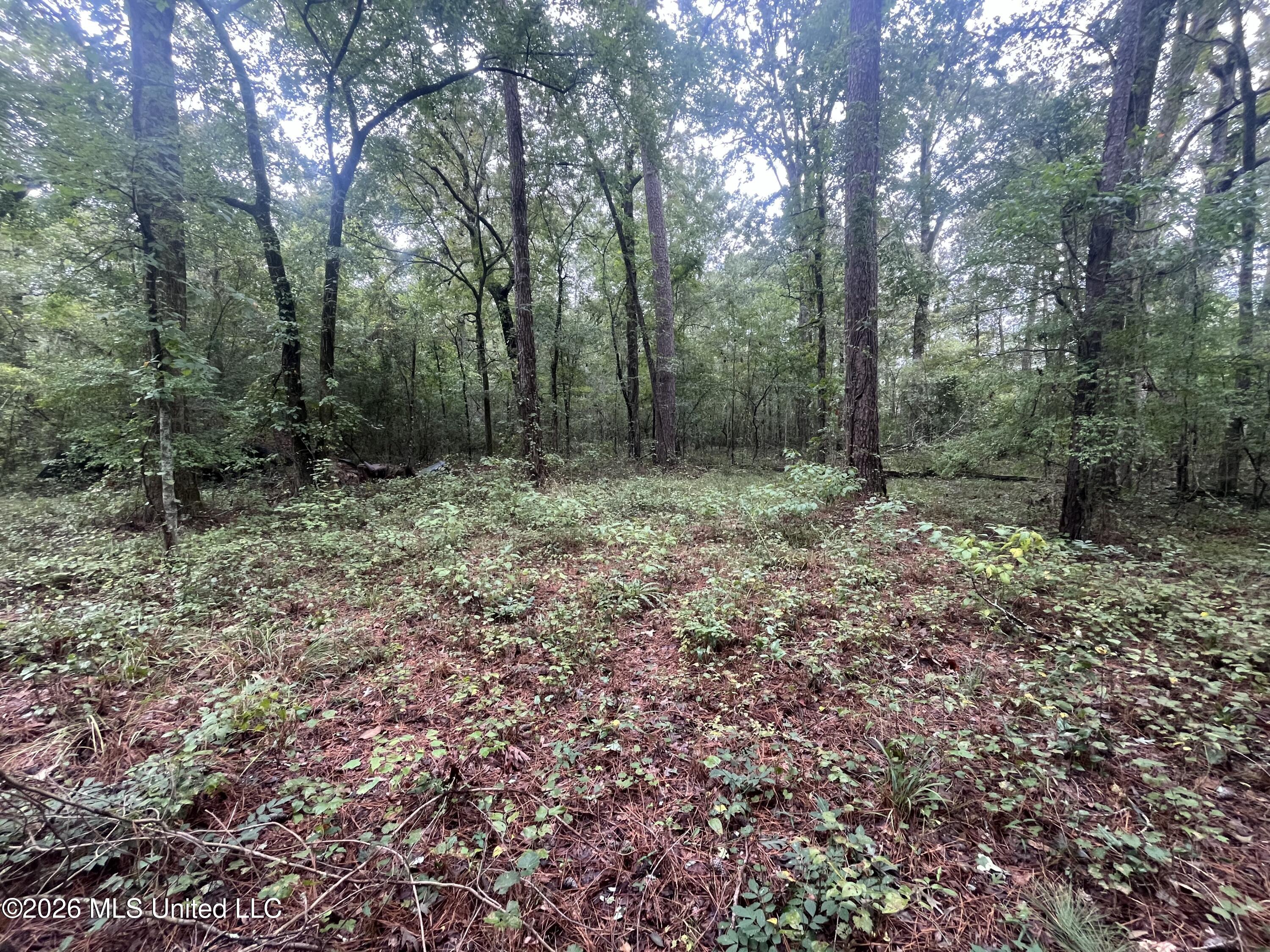 Ms-35 Property Photo 33