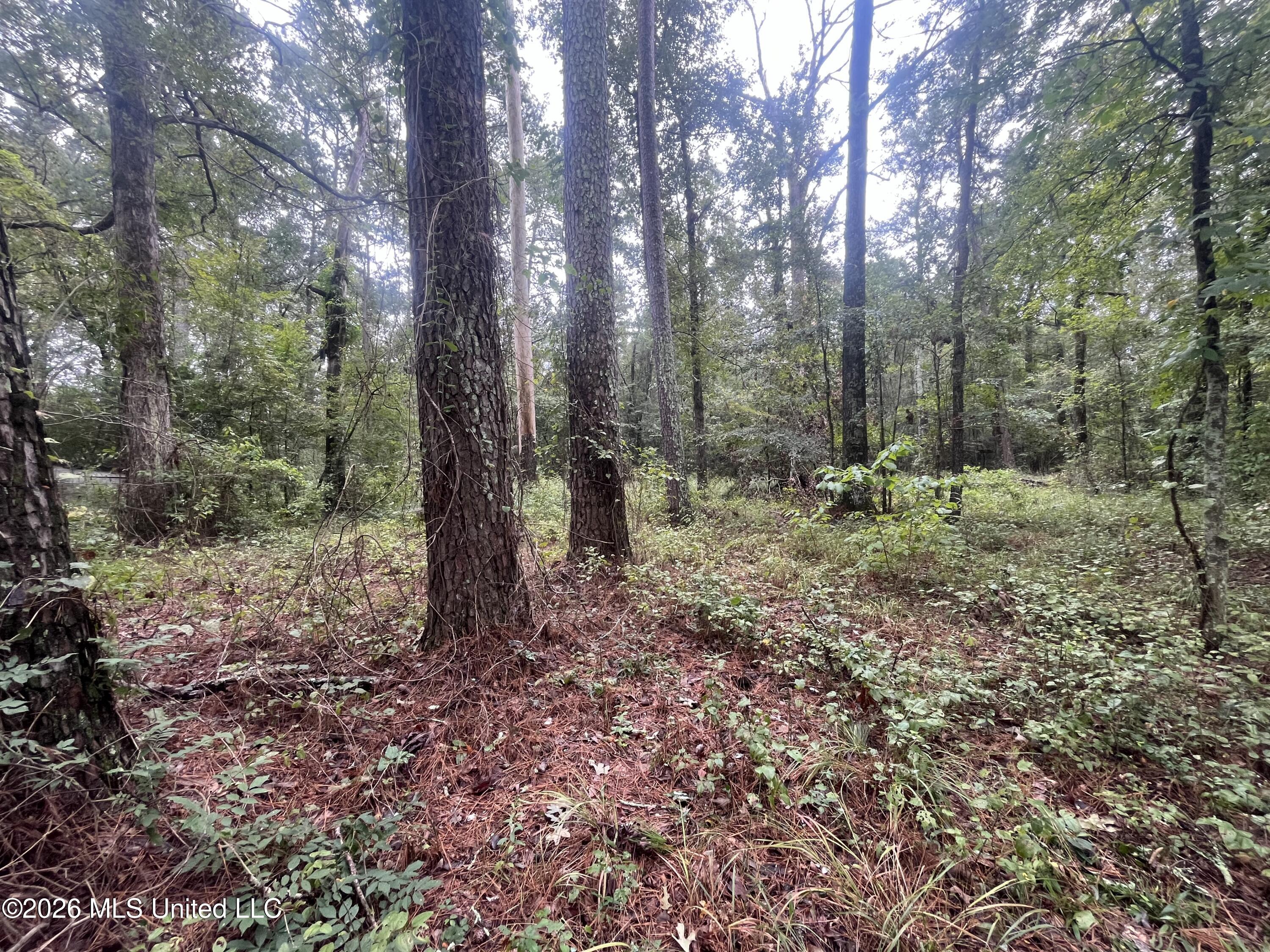 Ms-35 Property Photo 34