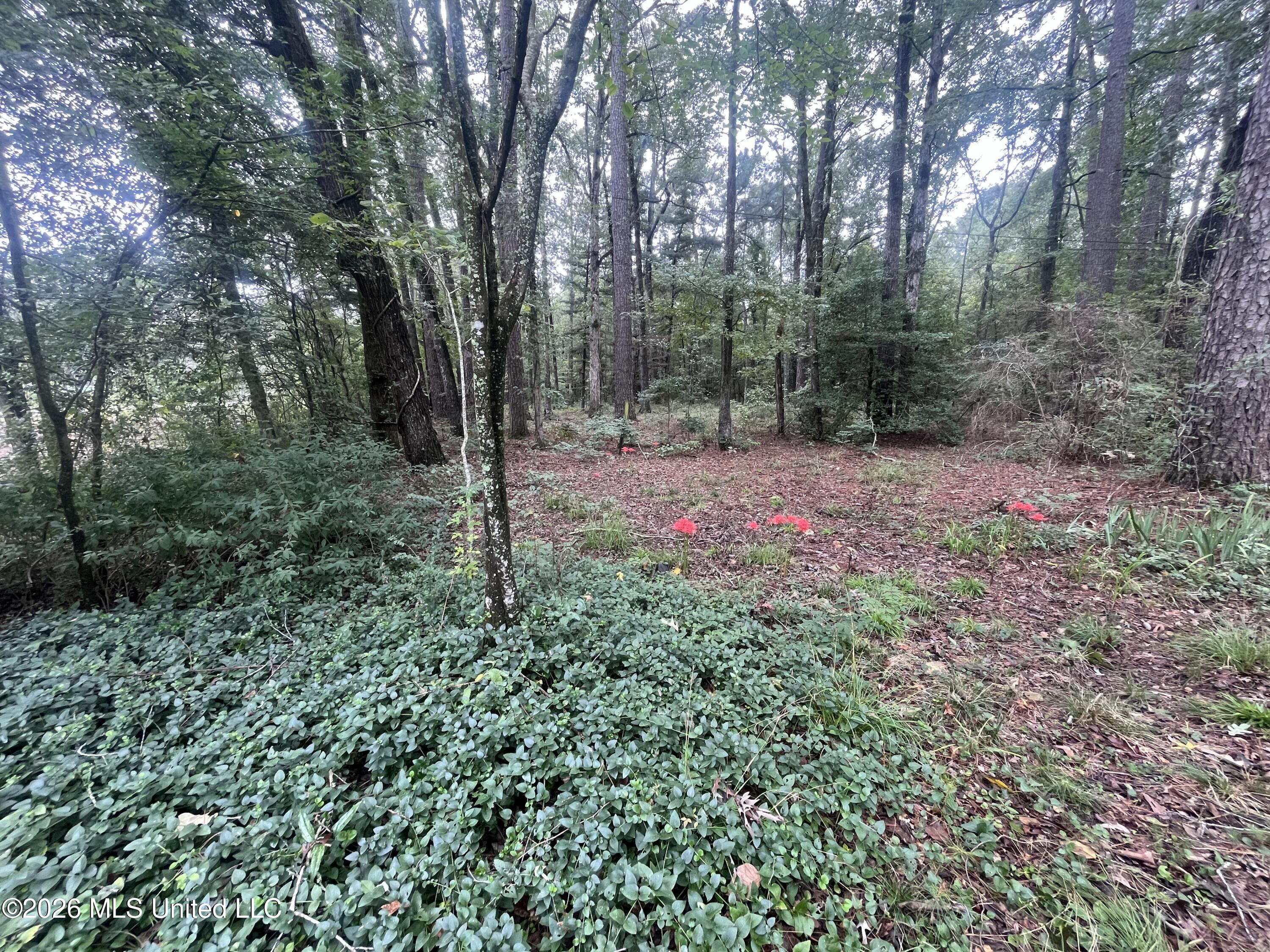 Ms-35 Property Photo 37