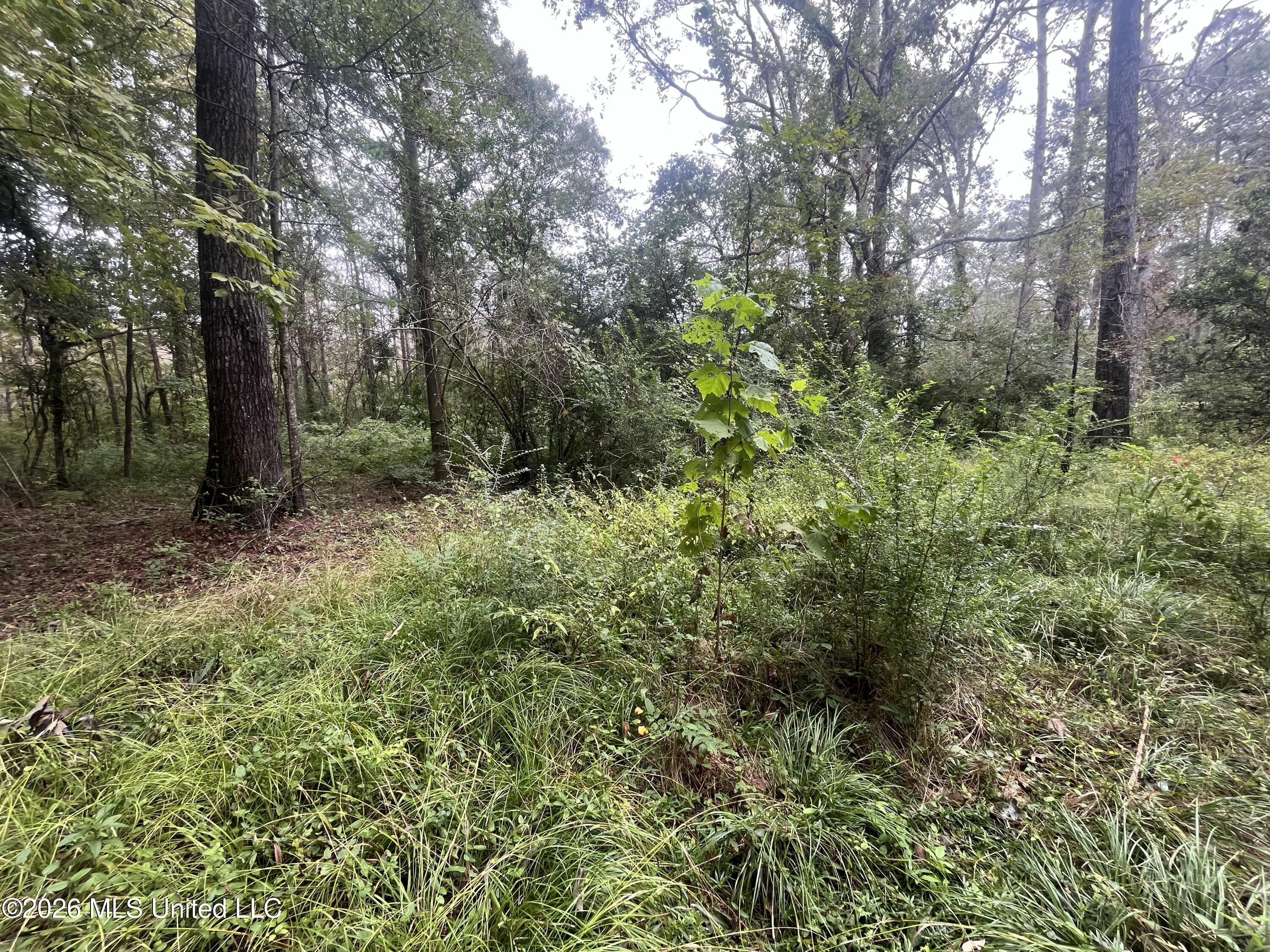 Ms-35 Property Photo 40
