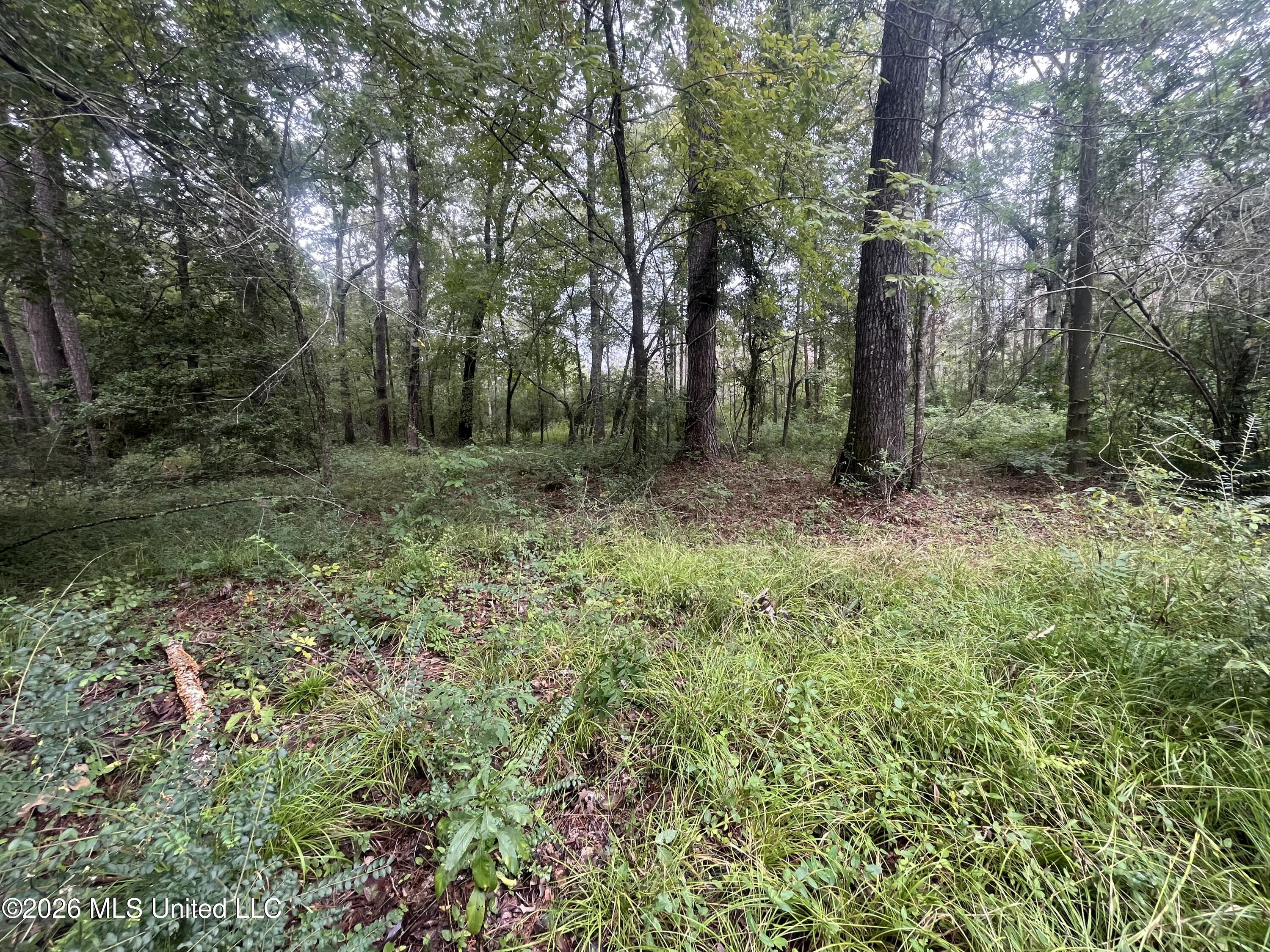 Ms-35 Property Photo 41