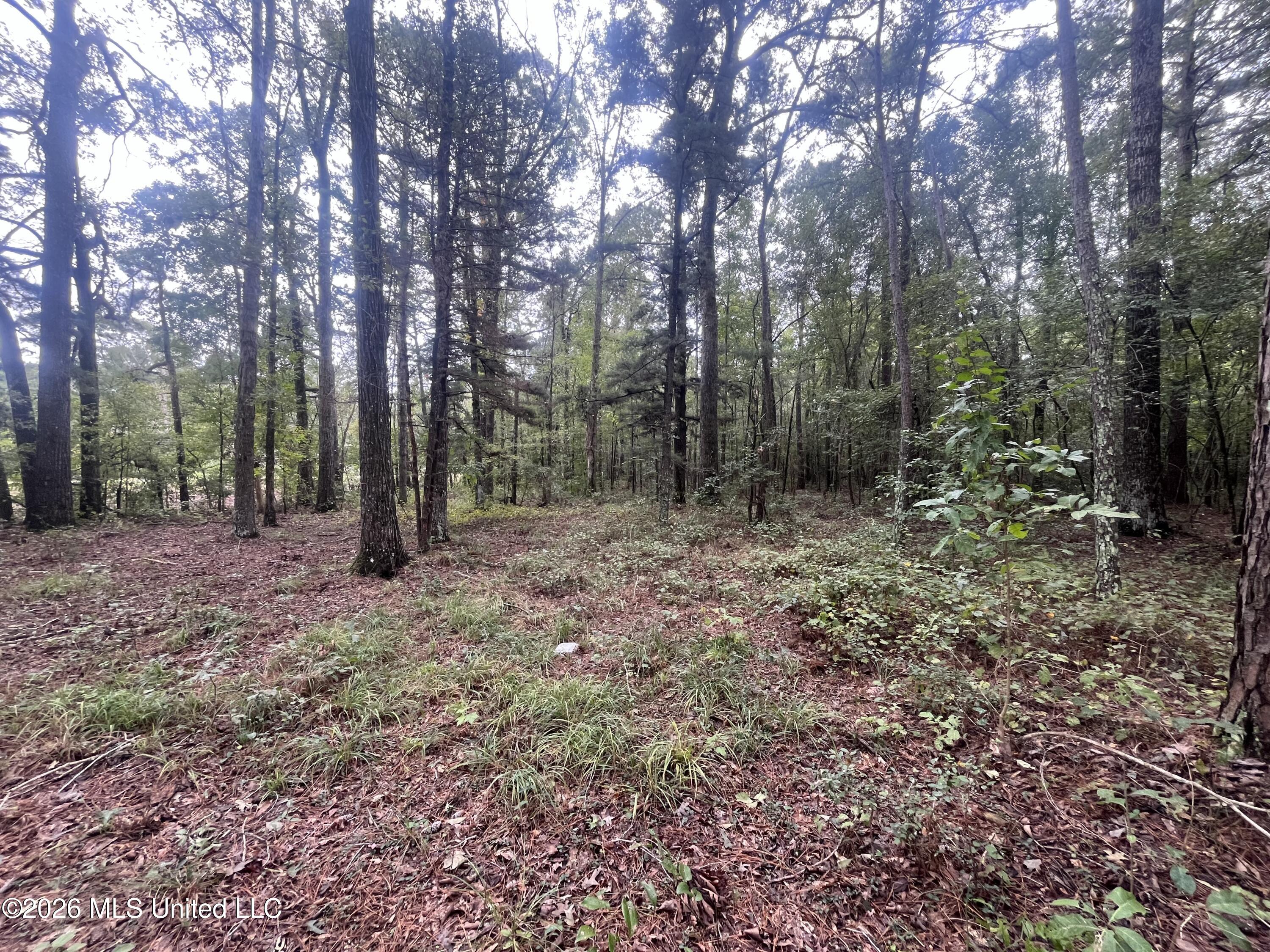 Ms-35 Property Photo 42