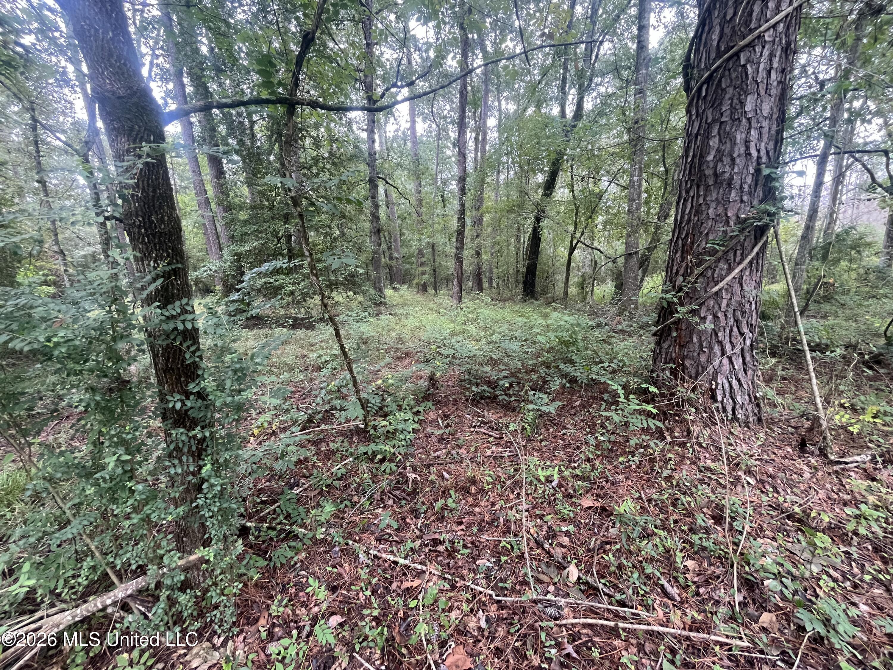 Ms-35 Property Photo 43