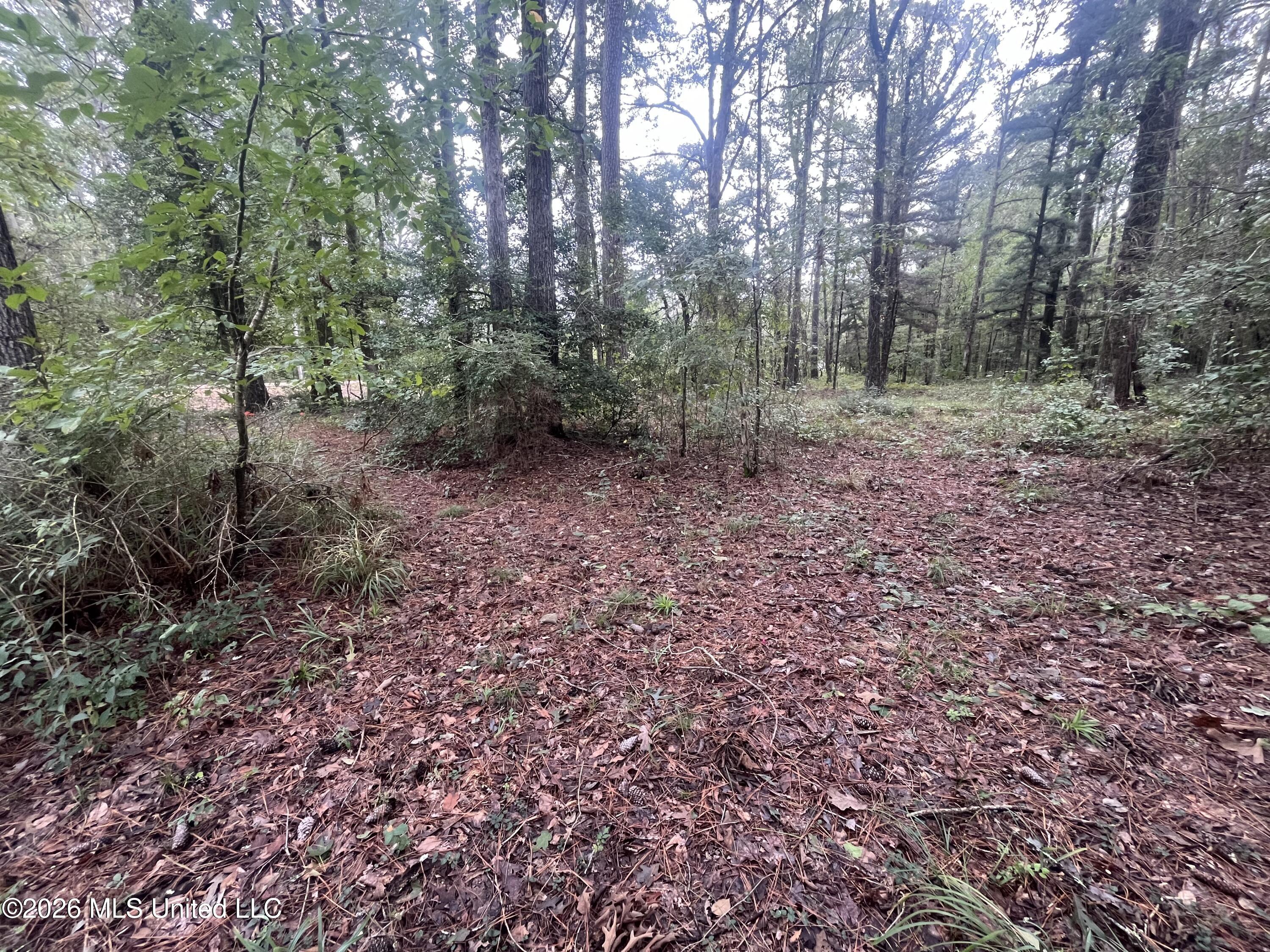 Ms-35 Property Photo 44