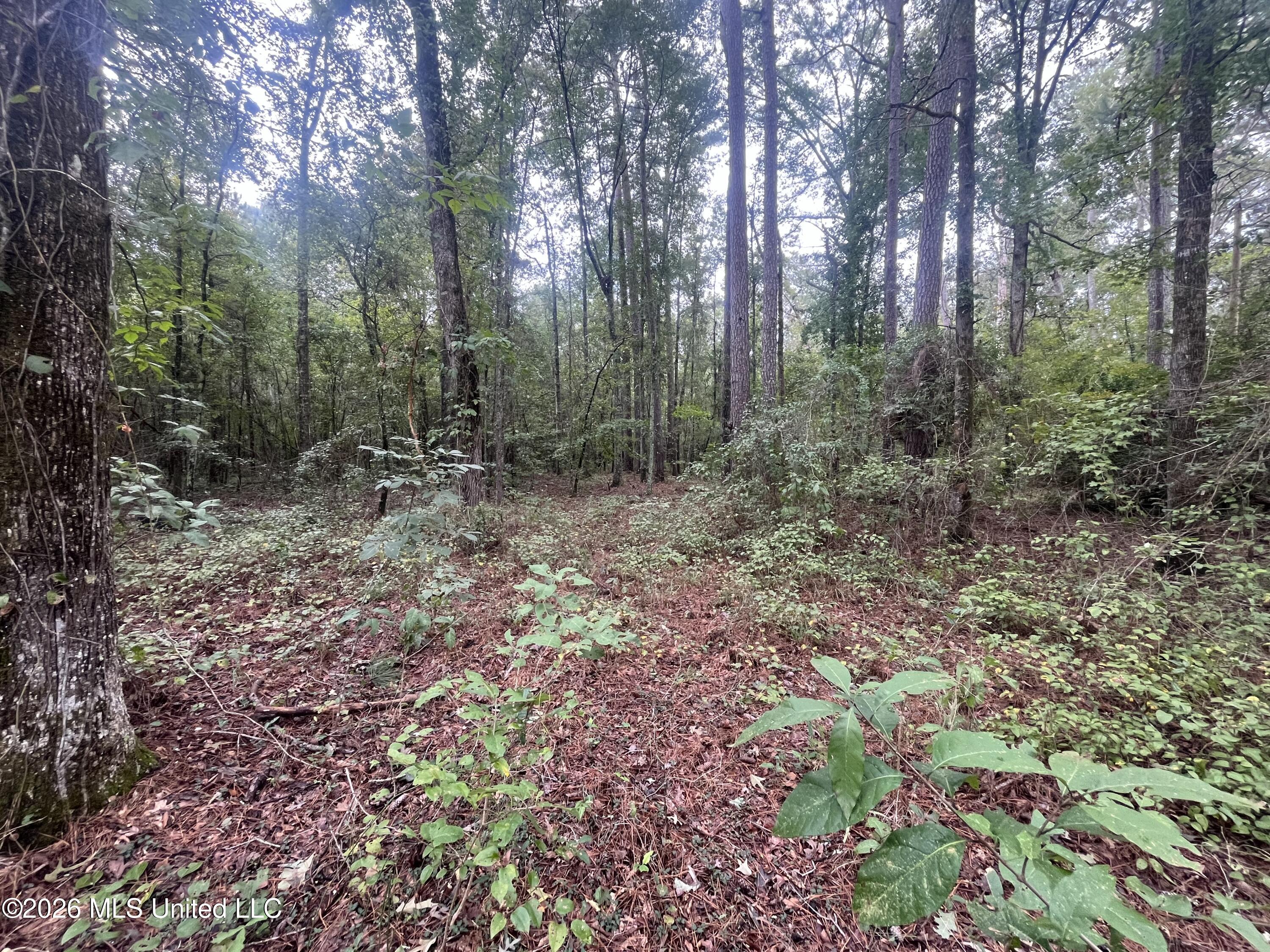 Ms-35 Property Photo 46