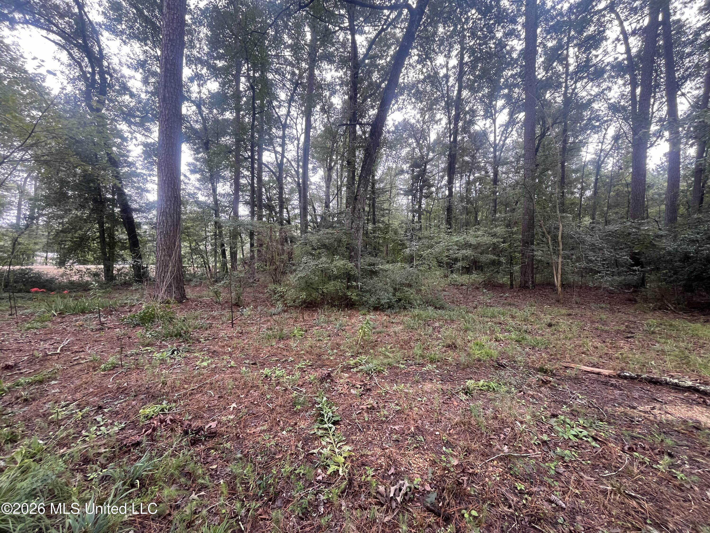 Ms-35 Property Photo 49
