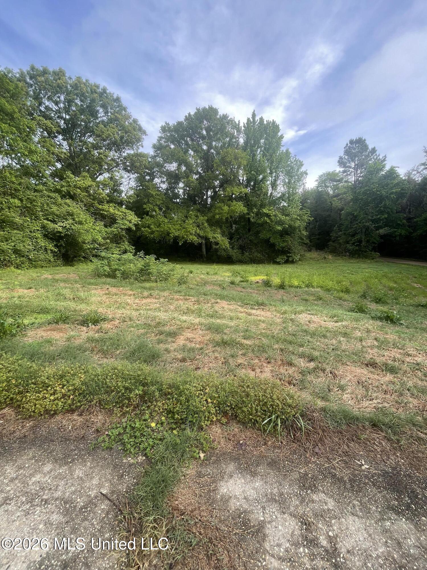 2046 Freedman Hall Property Photo 16