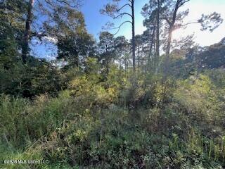 Persimmon Street Property Photo 1