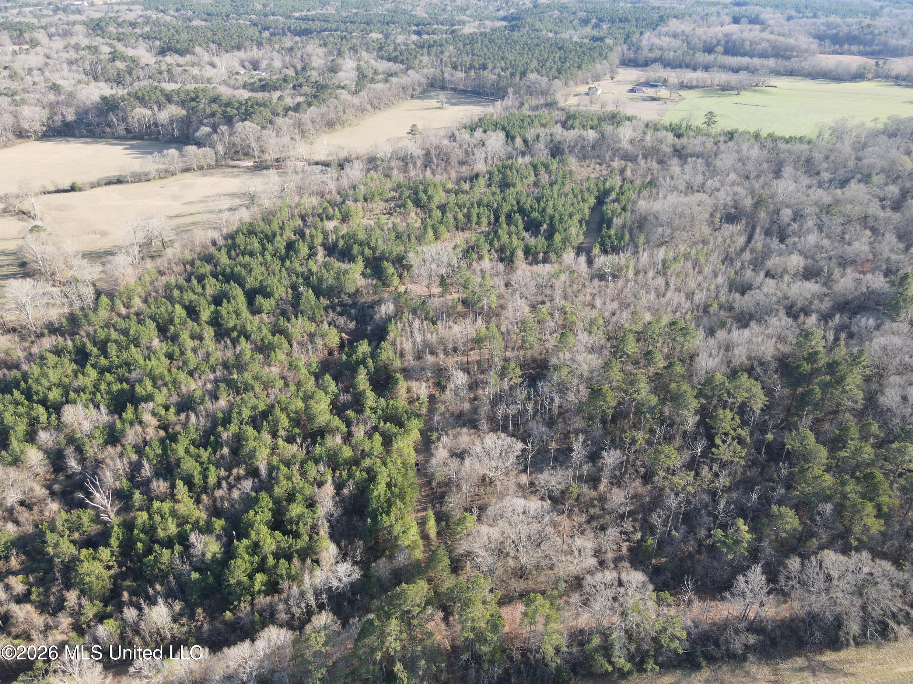 Mississippi 28 Property Photo 2