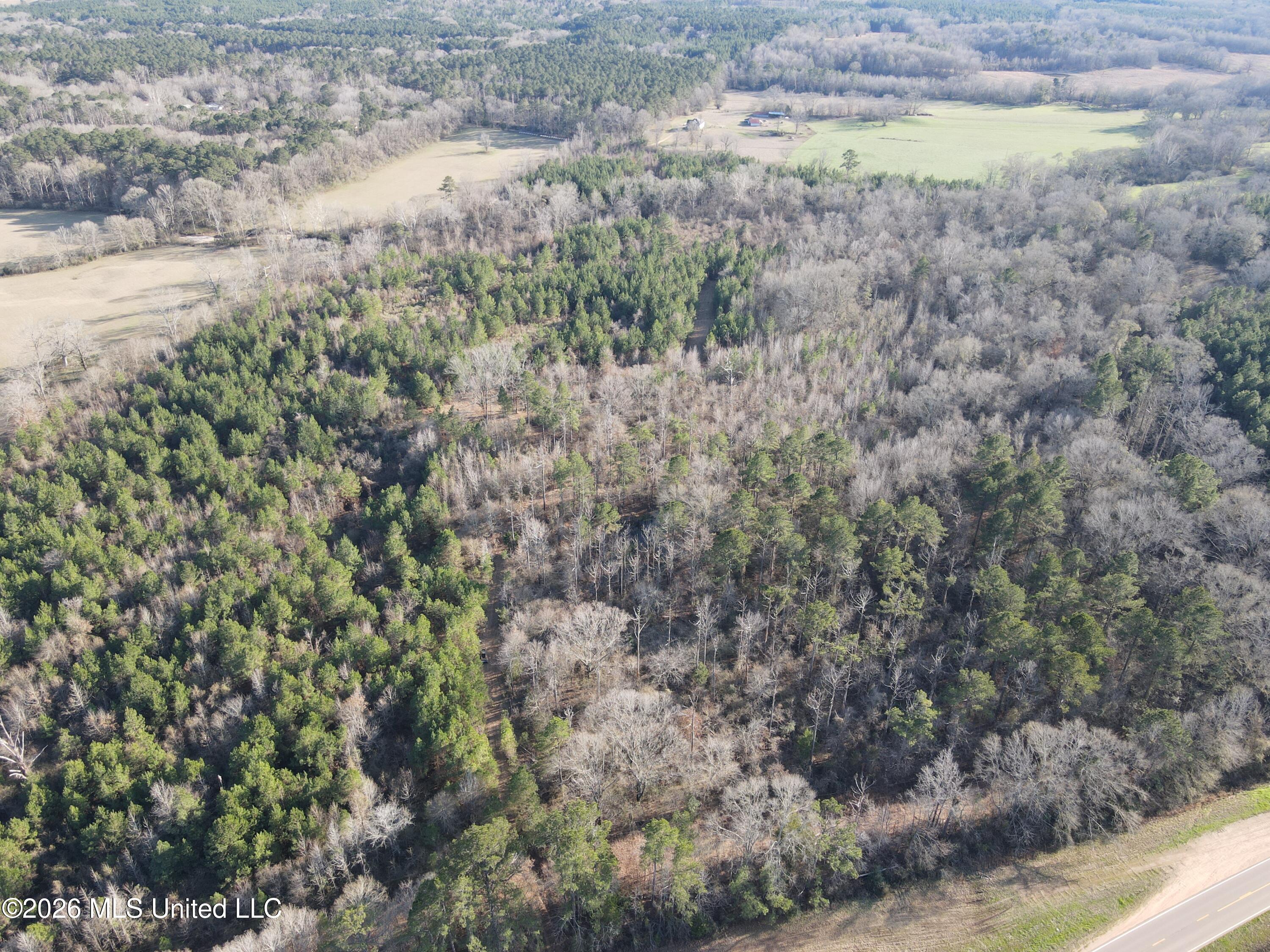 Mississippi 28 Property Photo 3