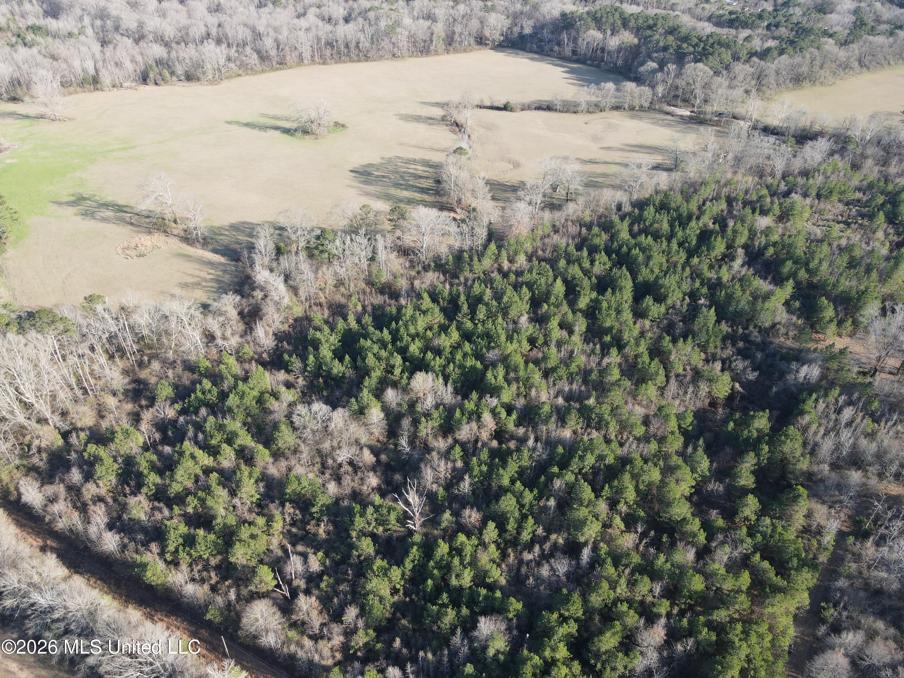 Mississippi 28 Property Photo 5