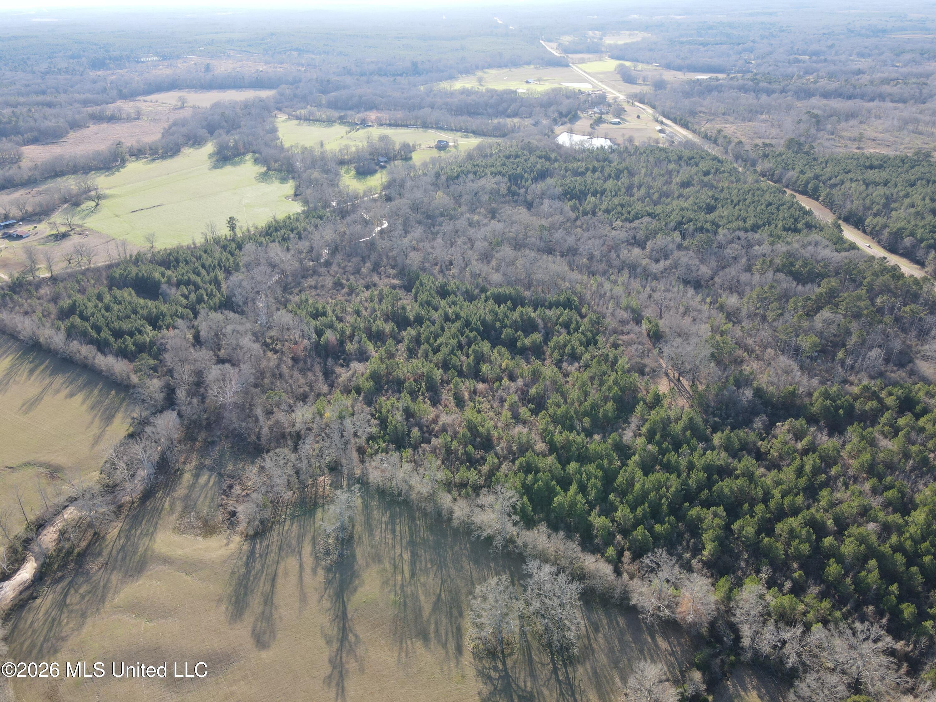 Mississippi 28 Property Photo 9
