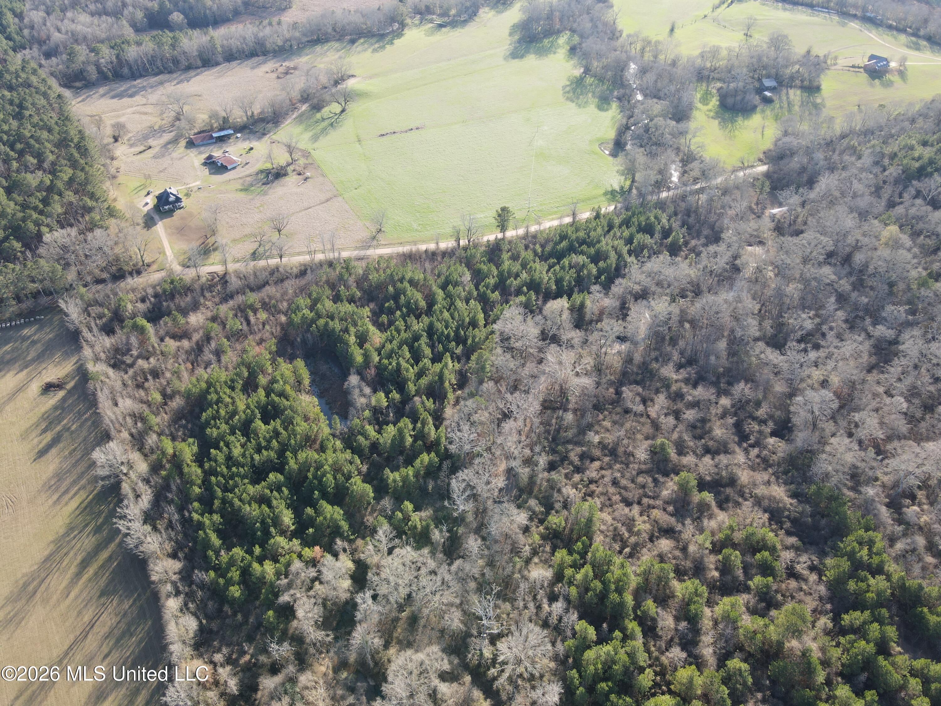 Mississippi 28 Property Photo 11