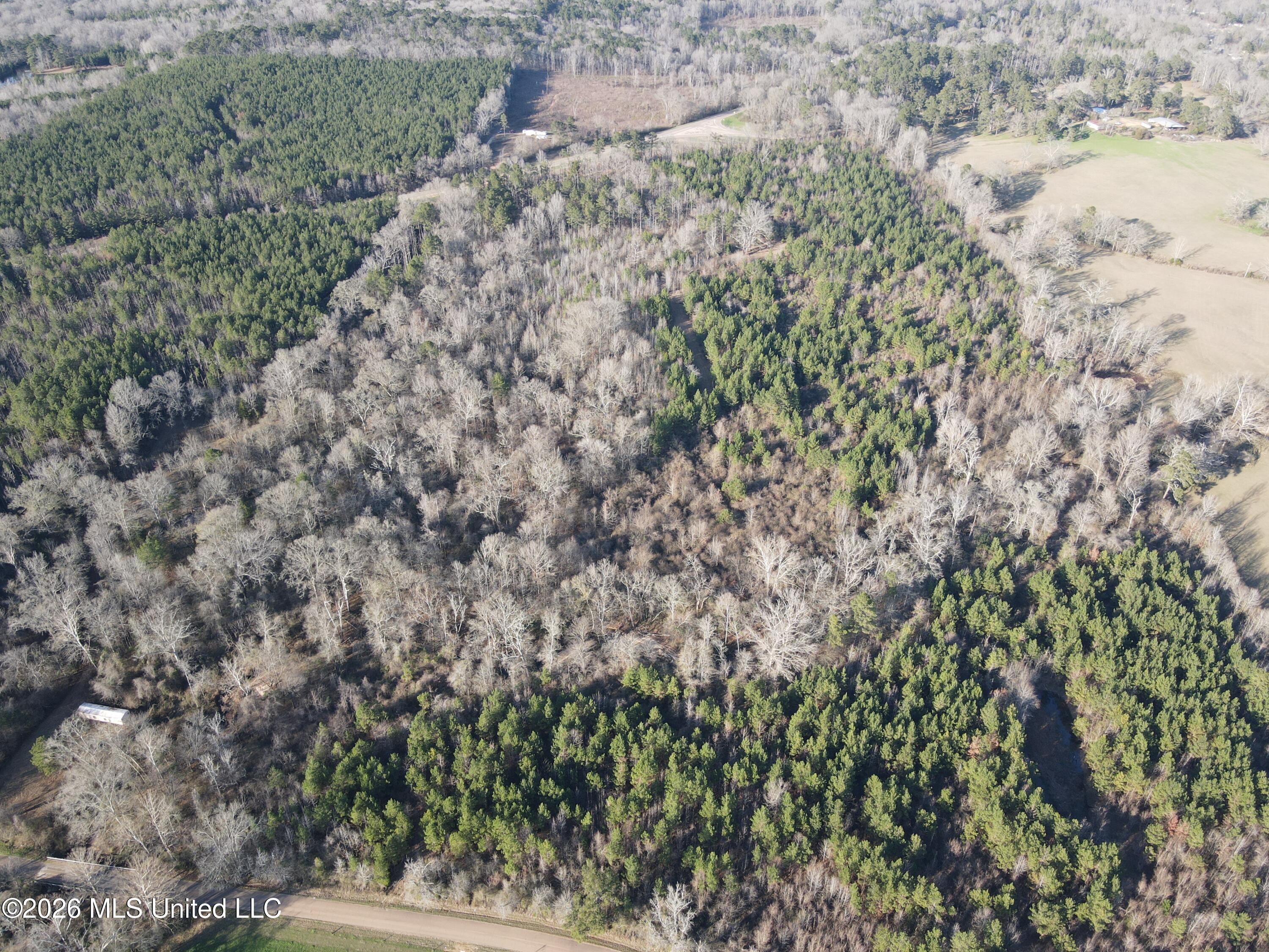 Mississippi 28 Property Photo 12