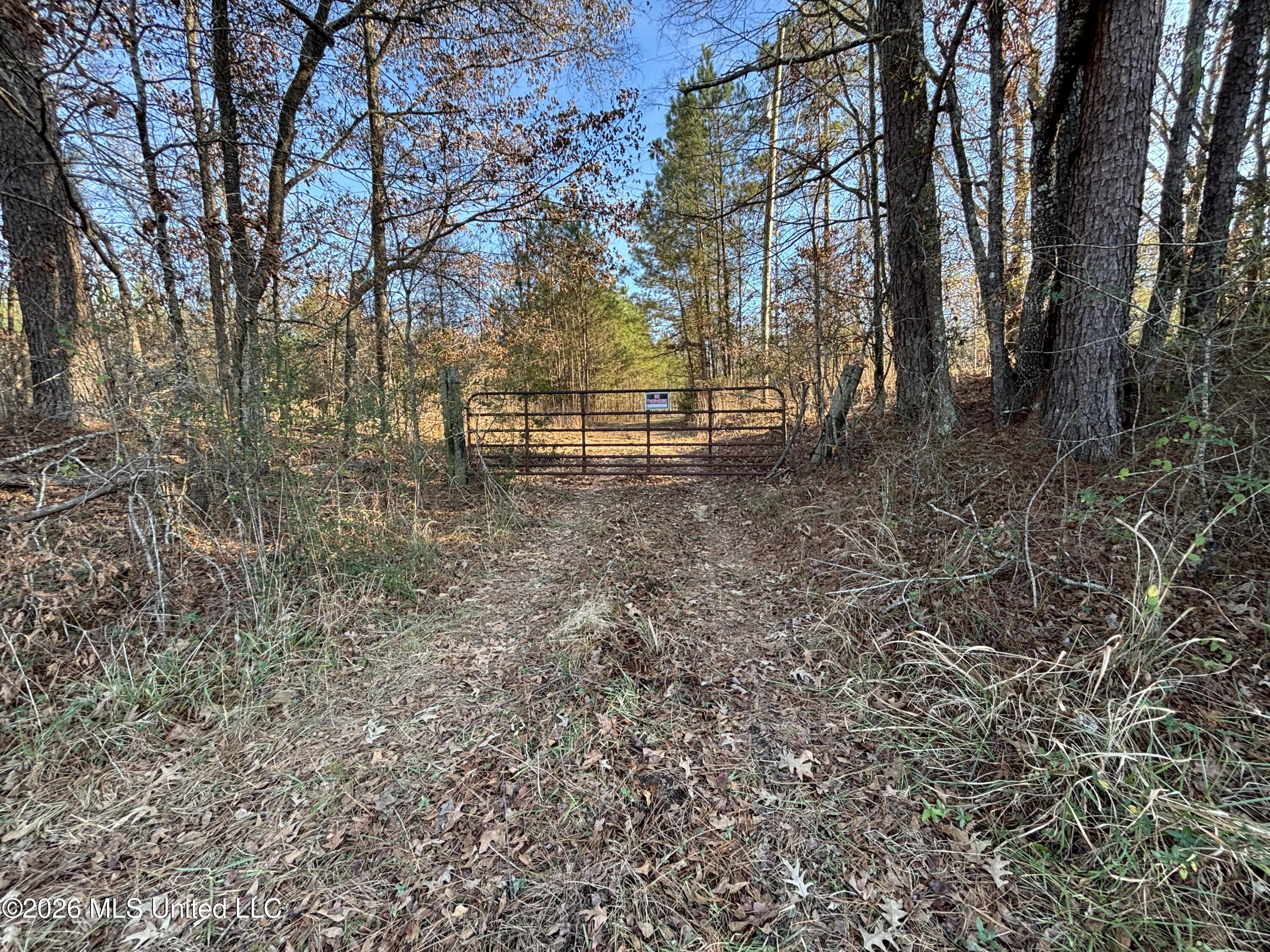 Mississippi 28 Property Photo 21