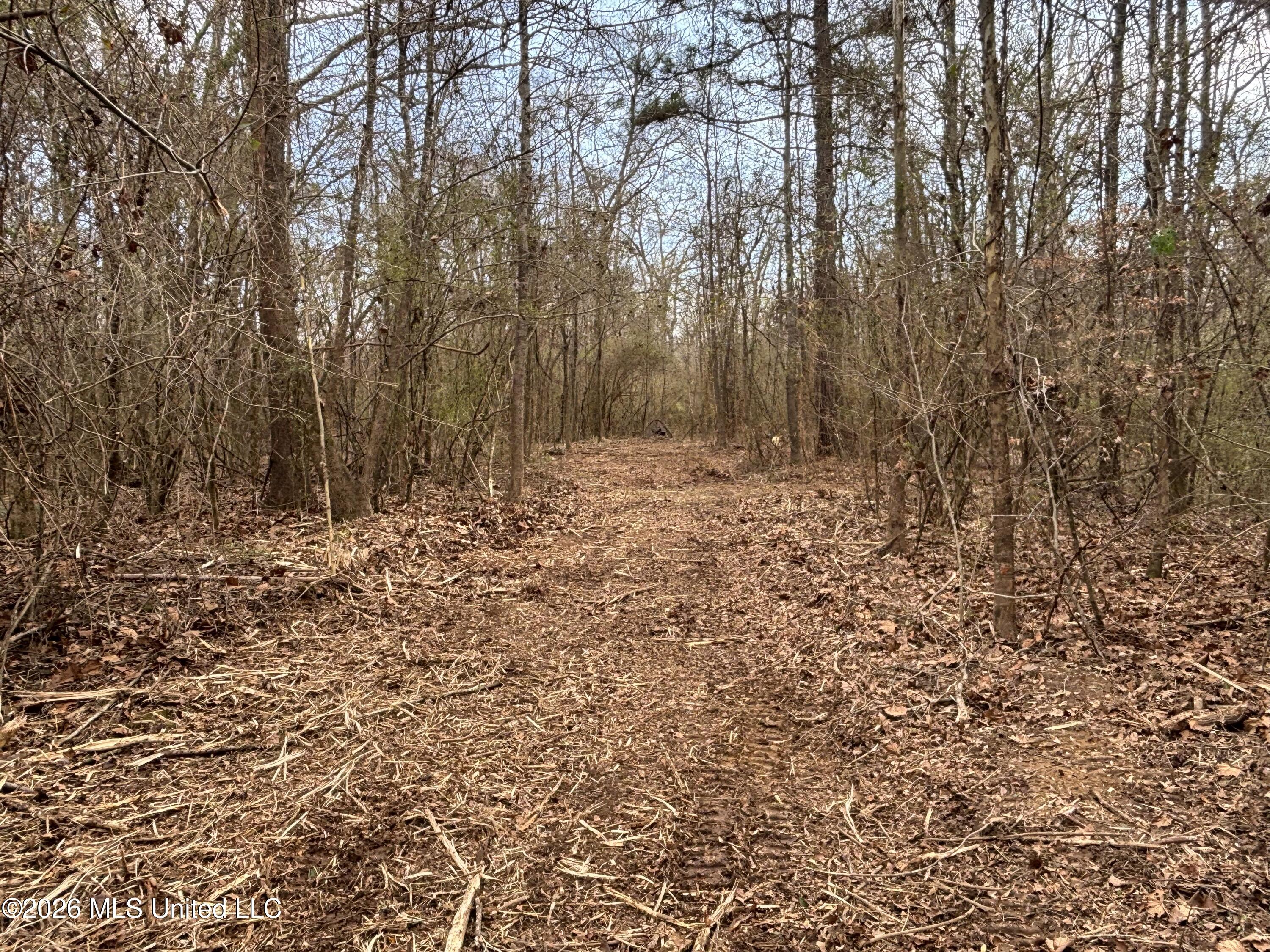 Mississippi 28 Property Photo 22