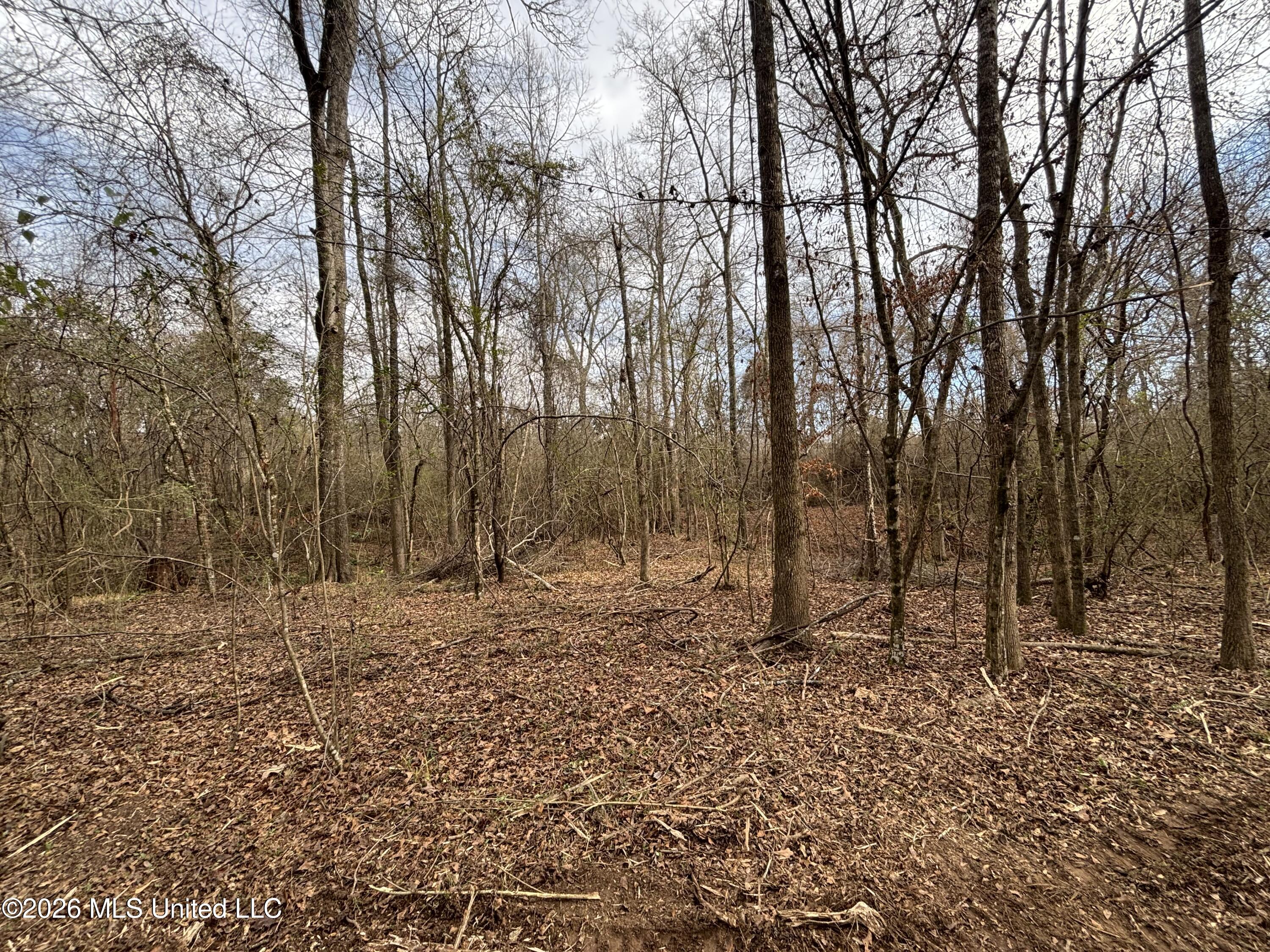 Mississippi 28 Property Photo 23