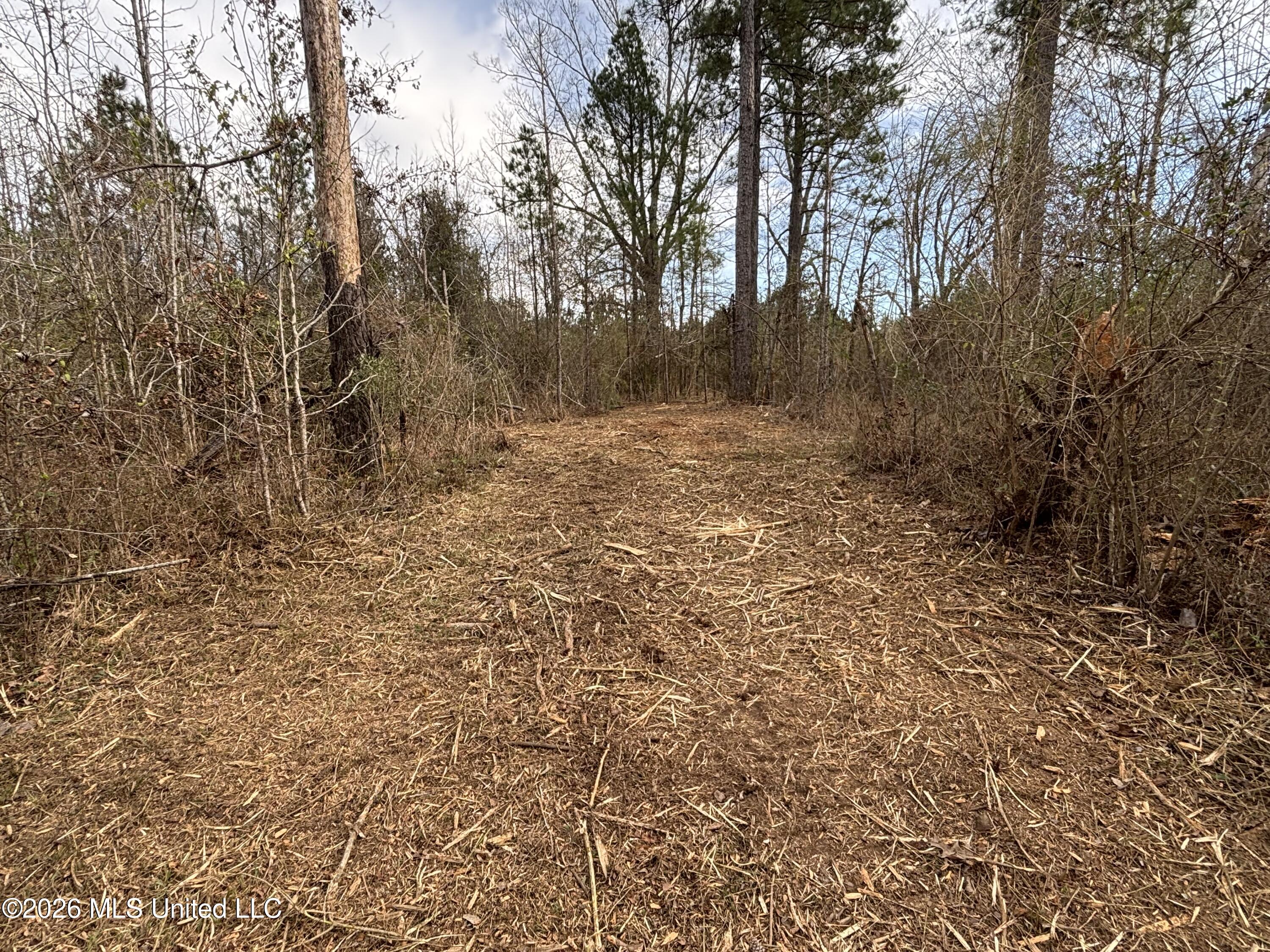 Mississippi 28 Property Photo 25