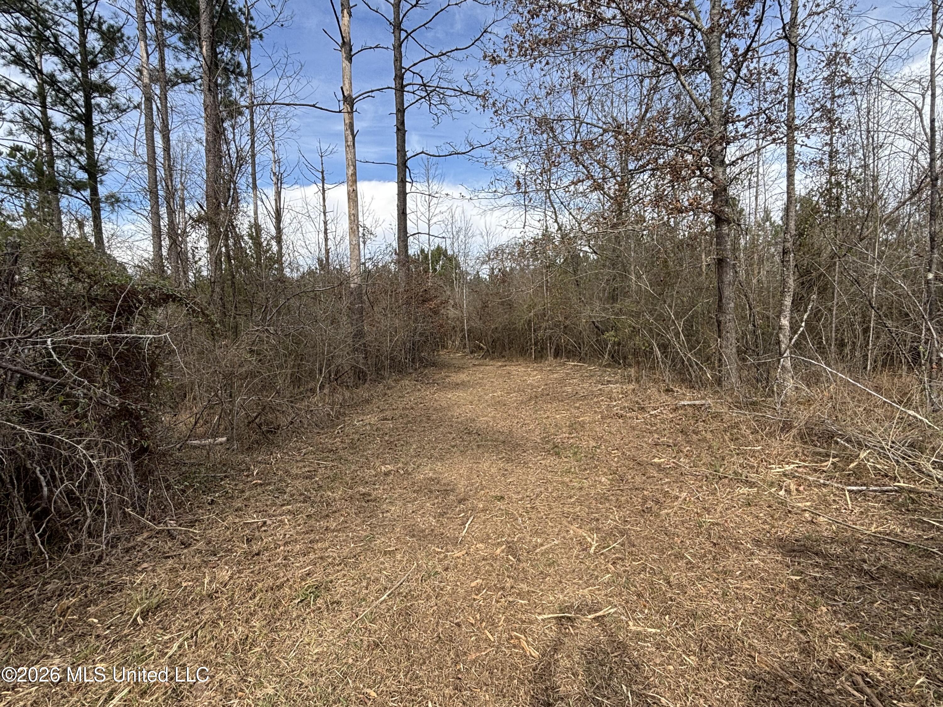 Mississippi 28 Property Photo 26