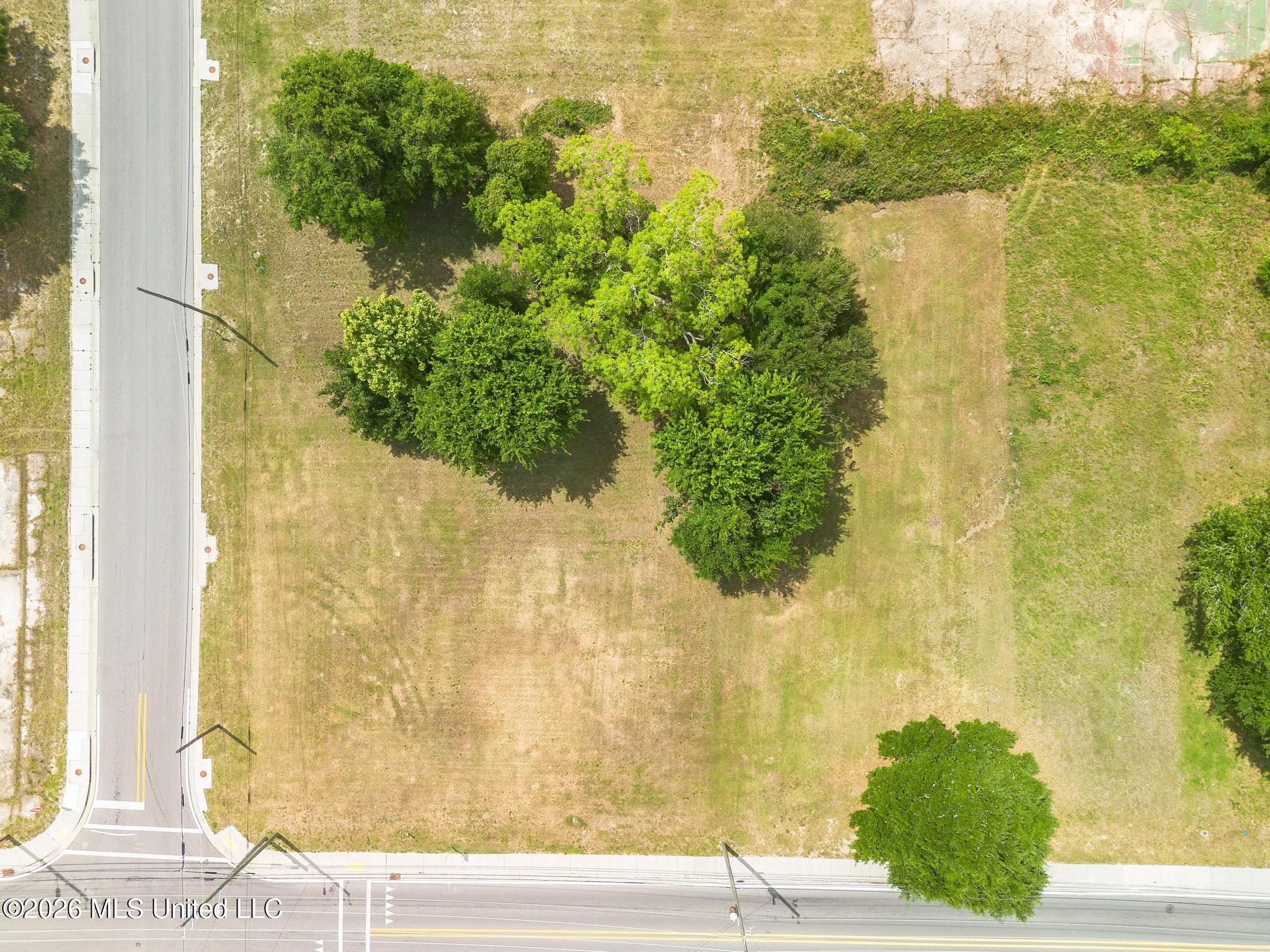 239 Howard Avenue Property Photo 2