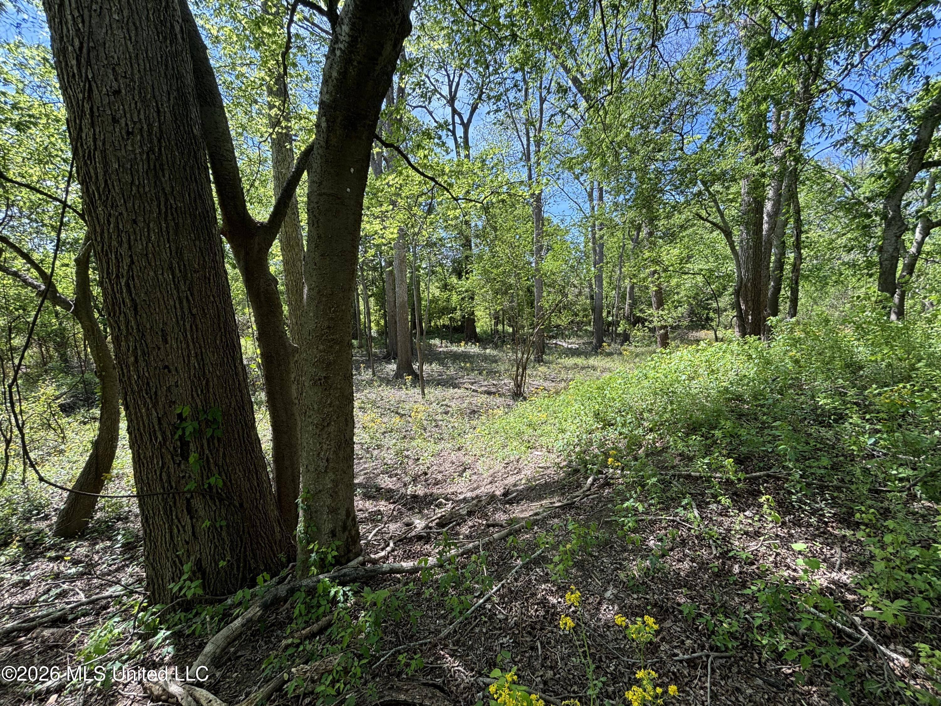Sparta Road Property Photo 10