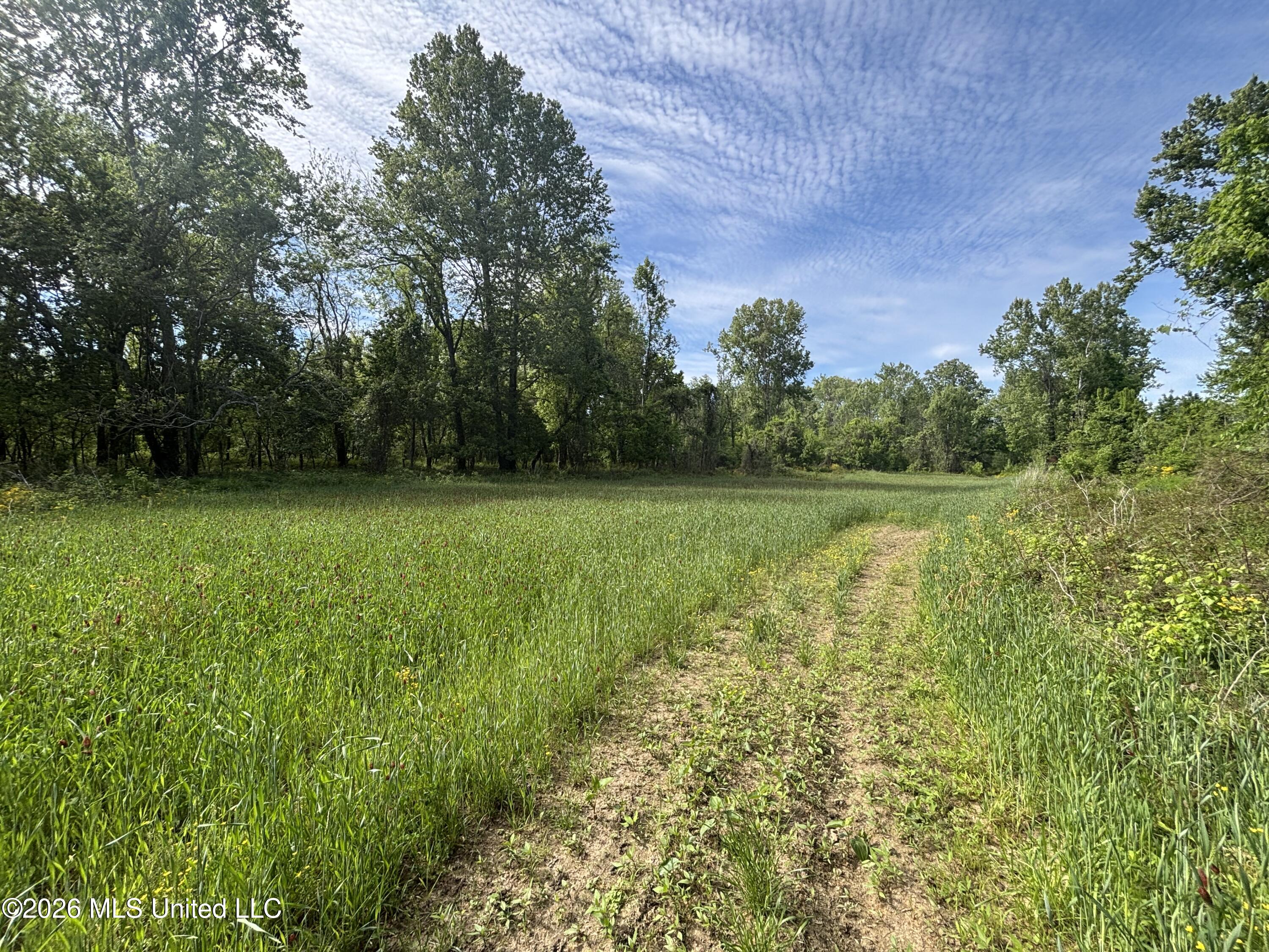 Sparta Road Property Photo 26