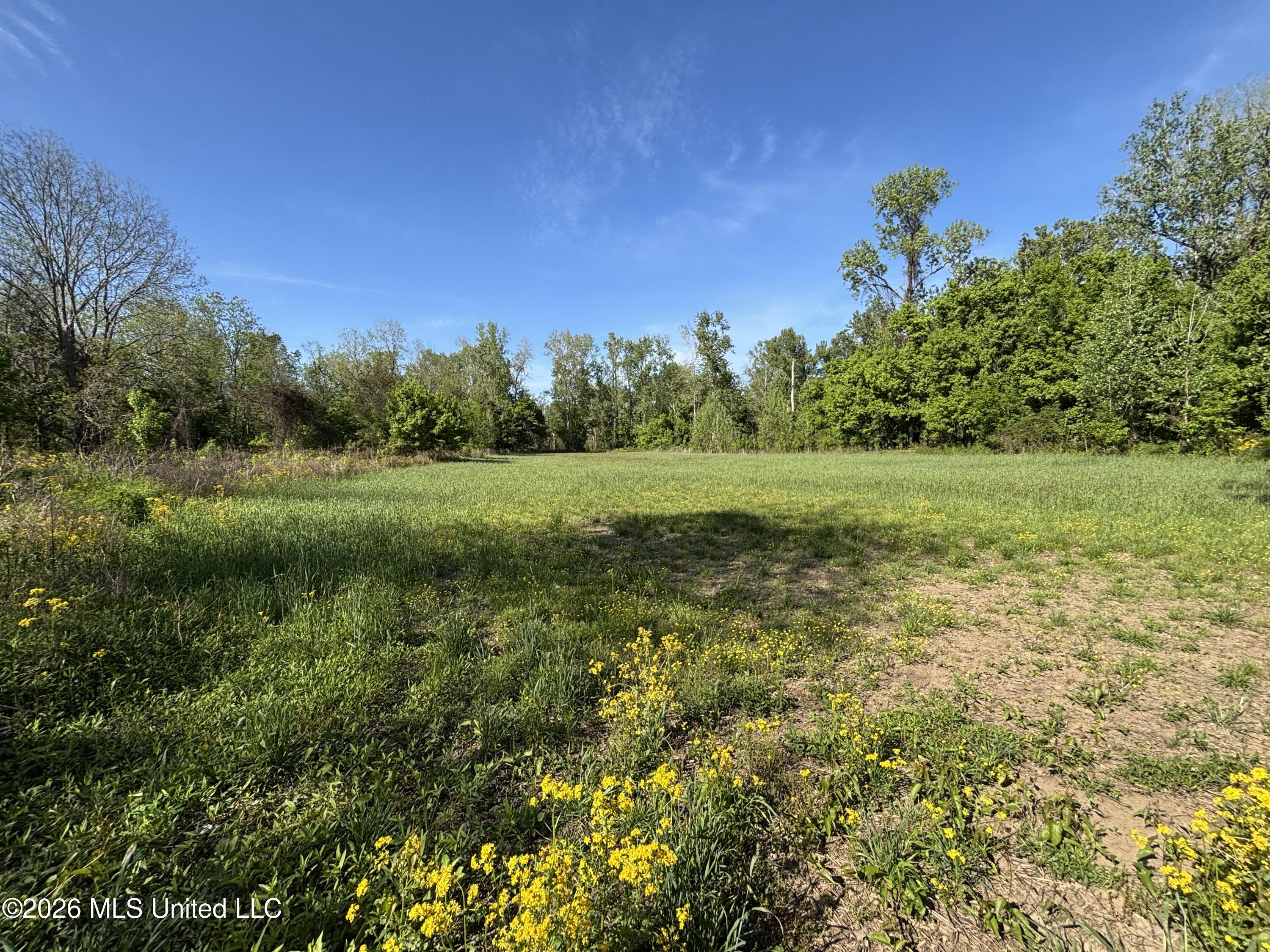 Sparta Road Property Photo 28