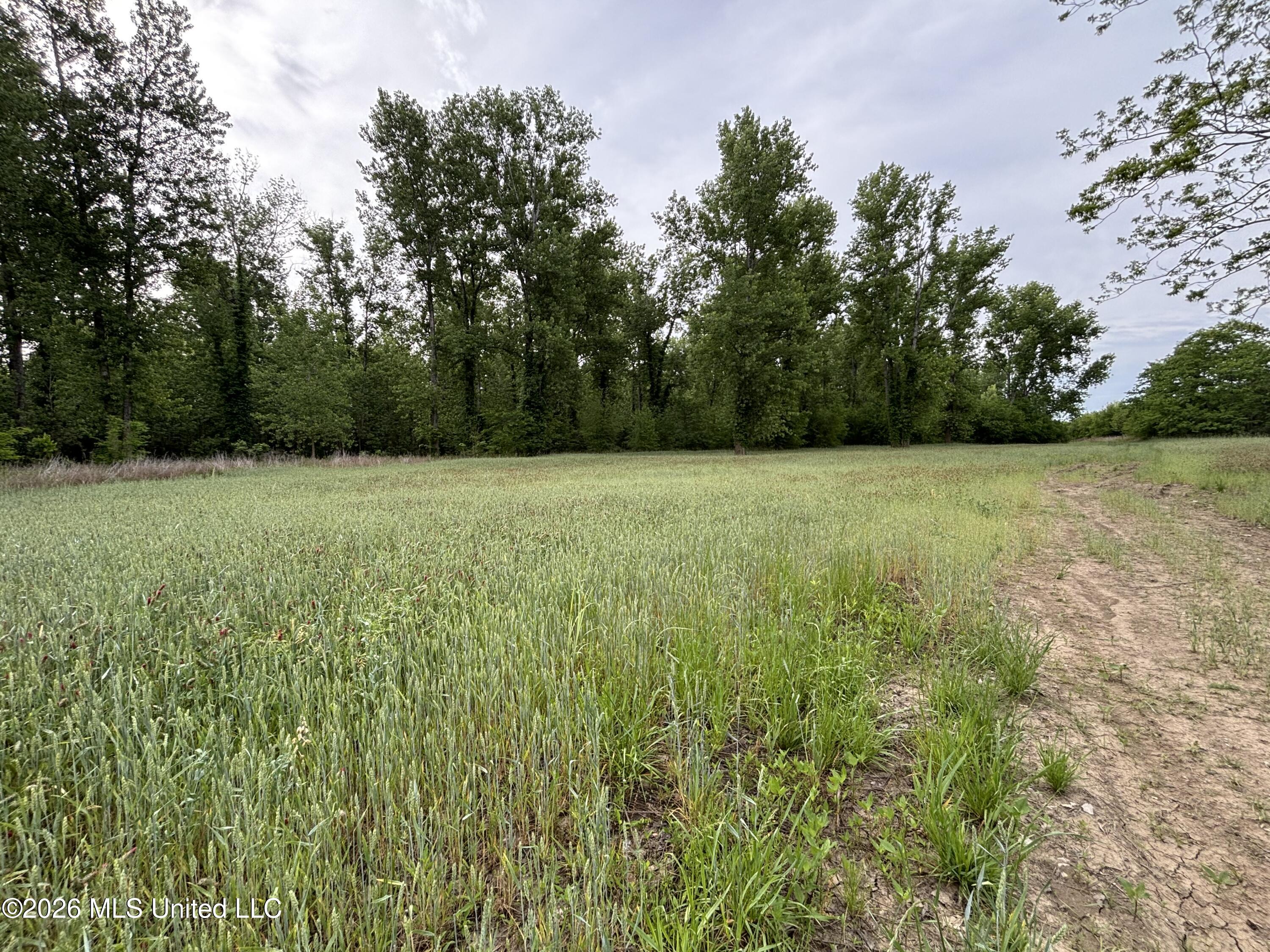 Sparta Road Property Photo 51