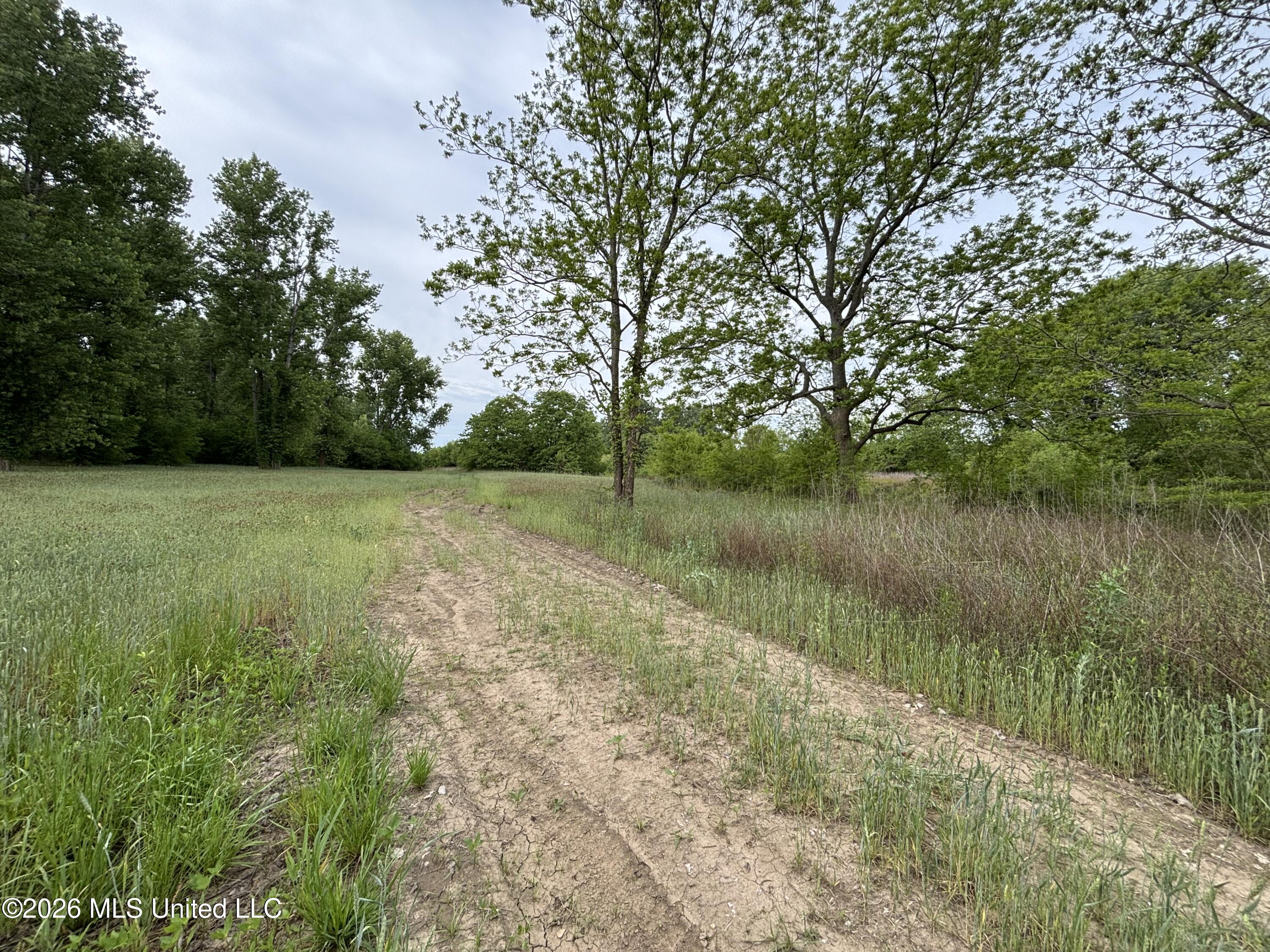 Sparta Road Property Photo 52