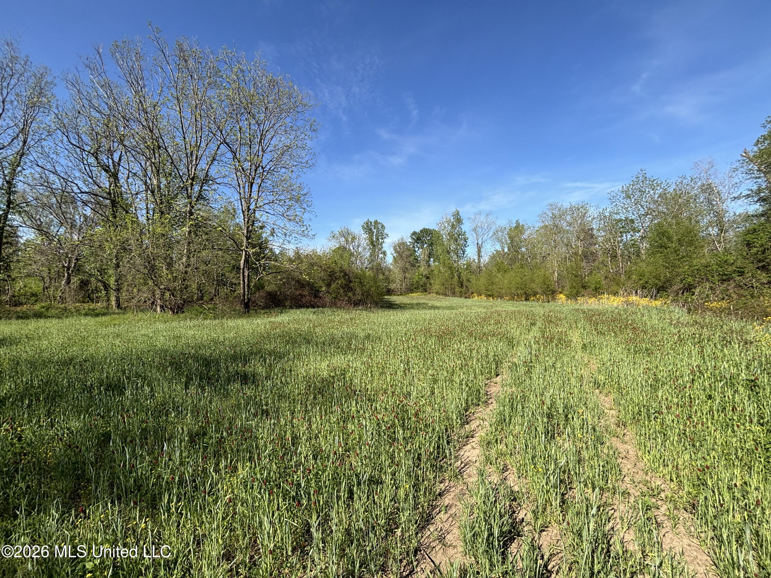Sparta Road Property Photo 57
