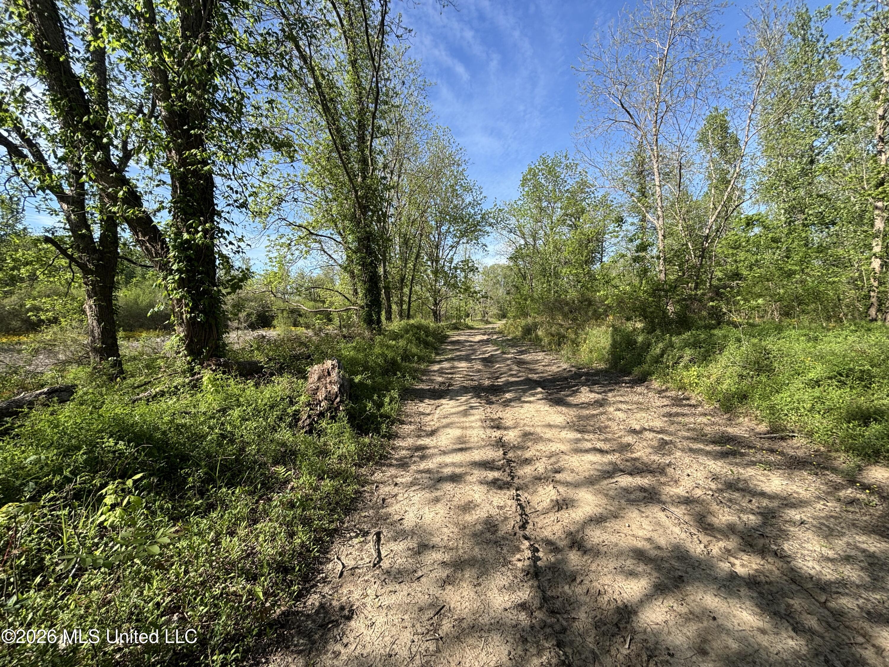 Sparta Road Property Photo 60