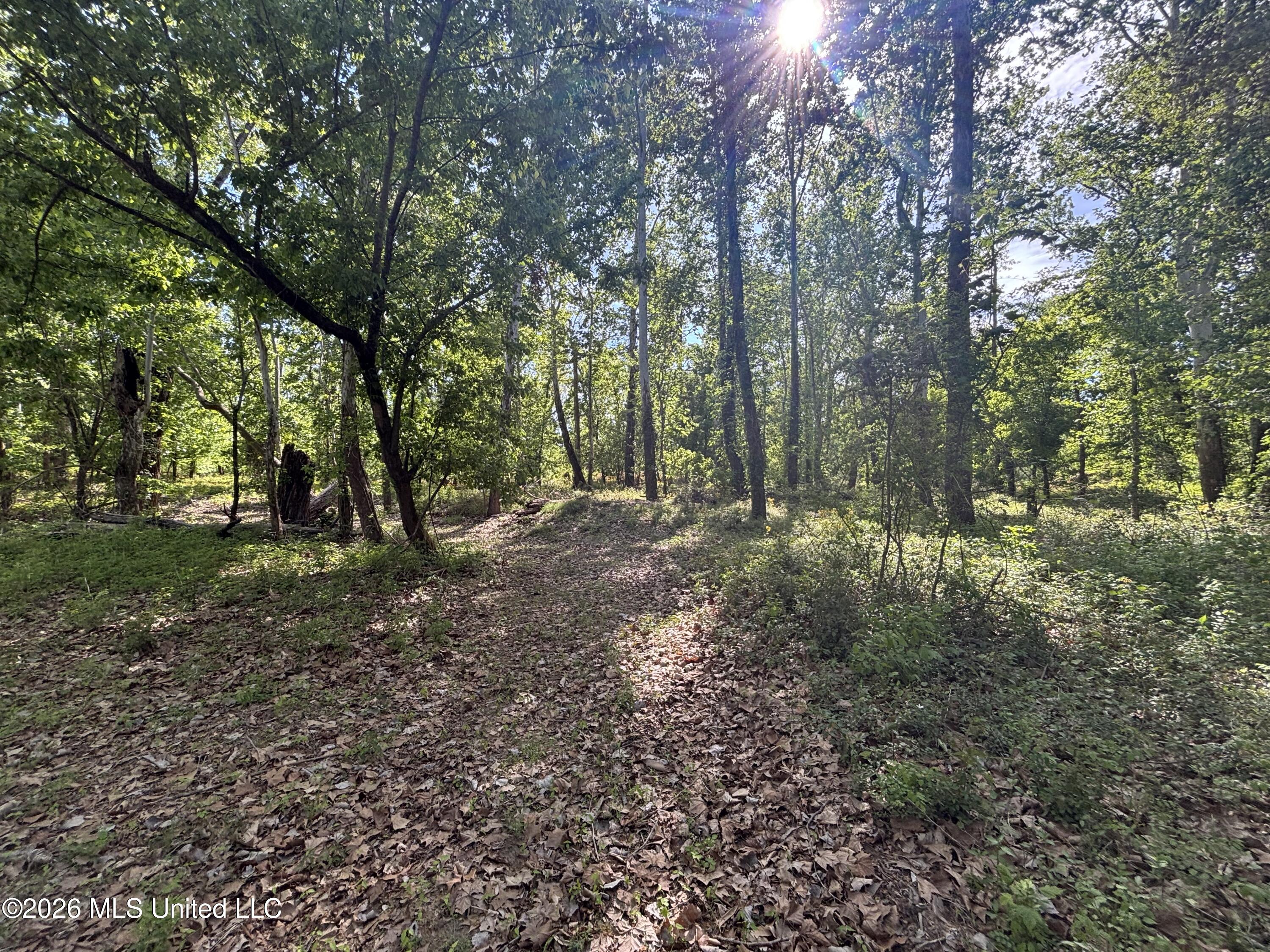 Sparta Road Property Photo 63