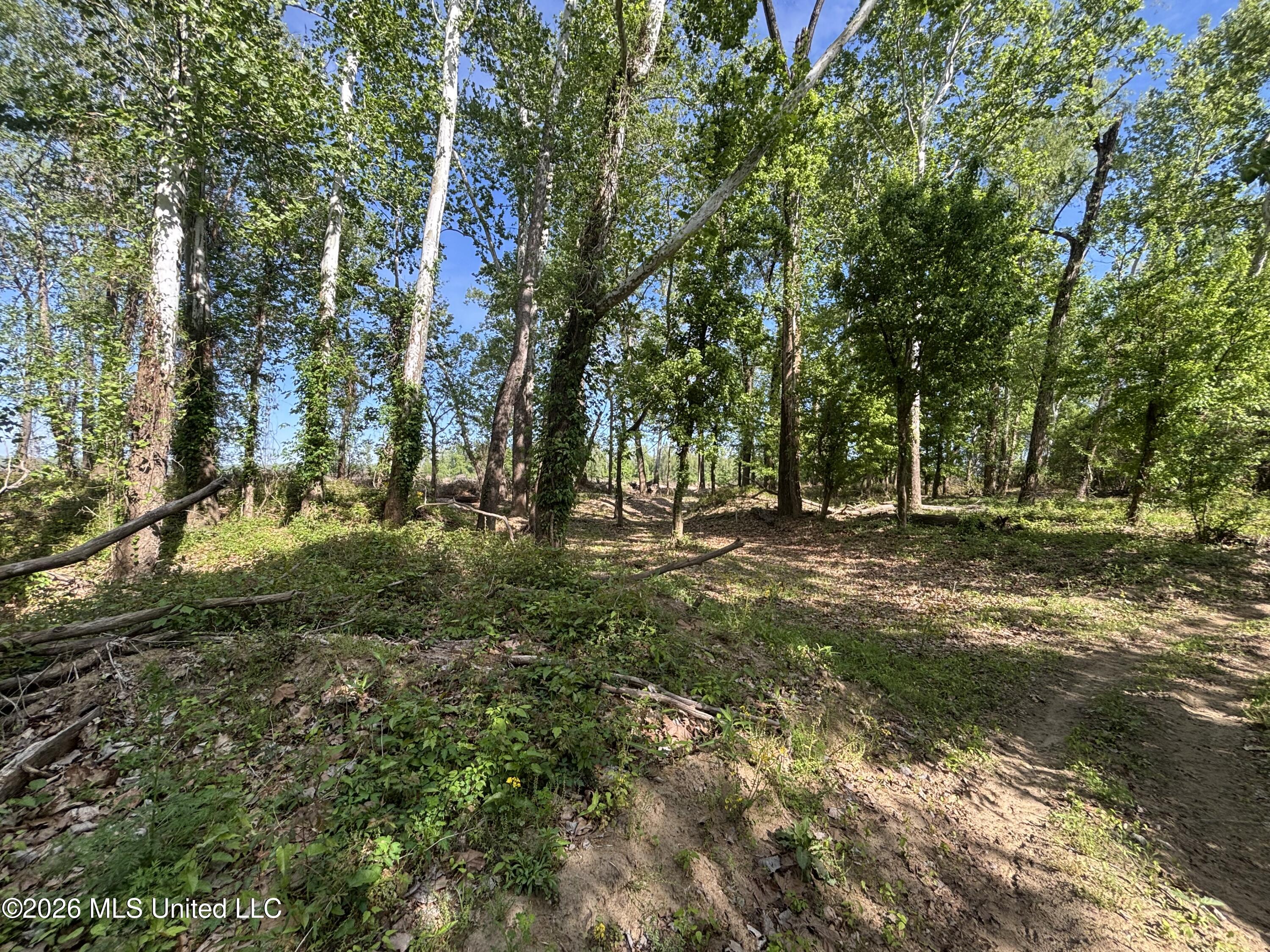 Sparta Road Property Photo 64