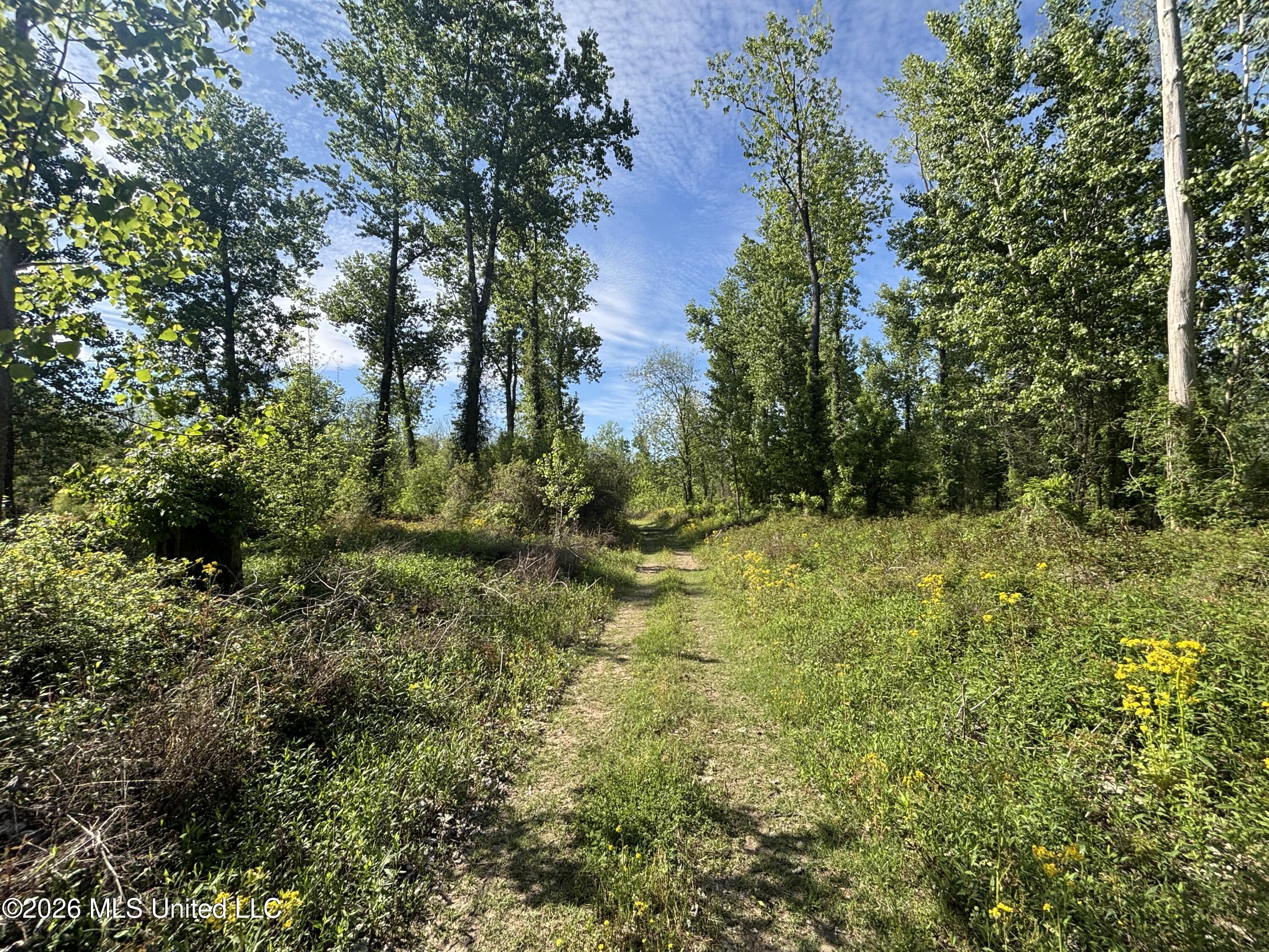 Sparta Road Property Photo 65