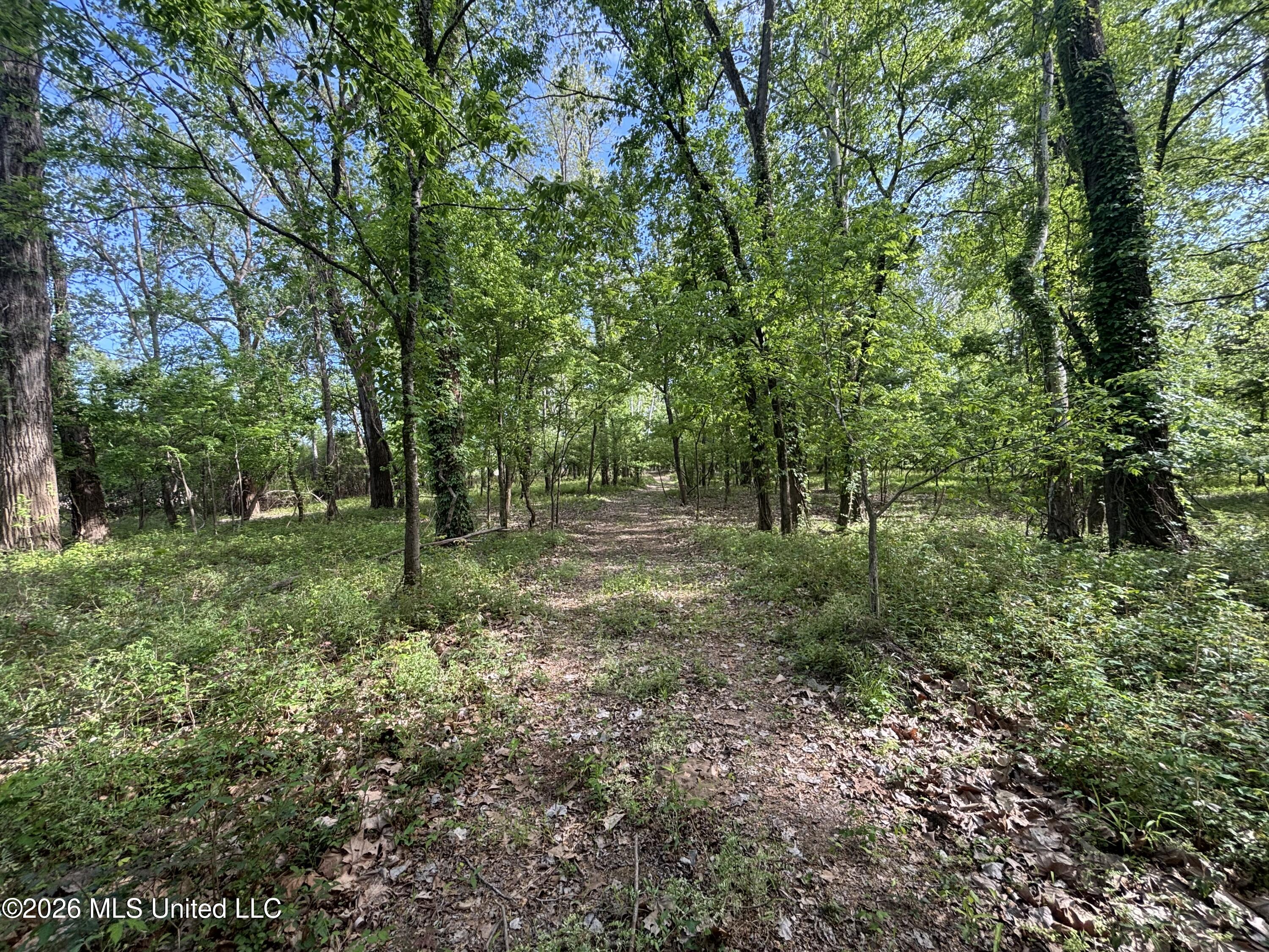 Sparta Road Property Photo 86