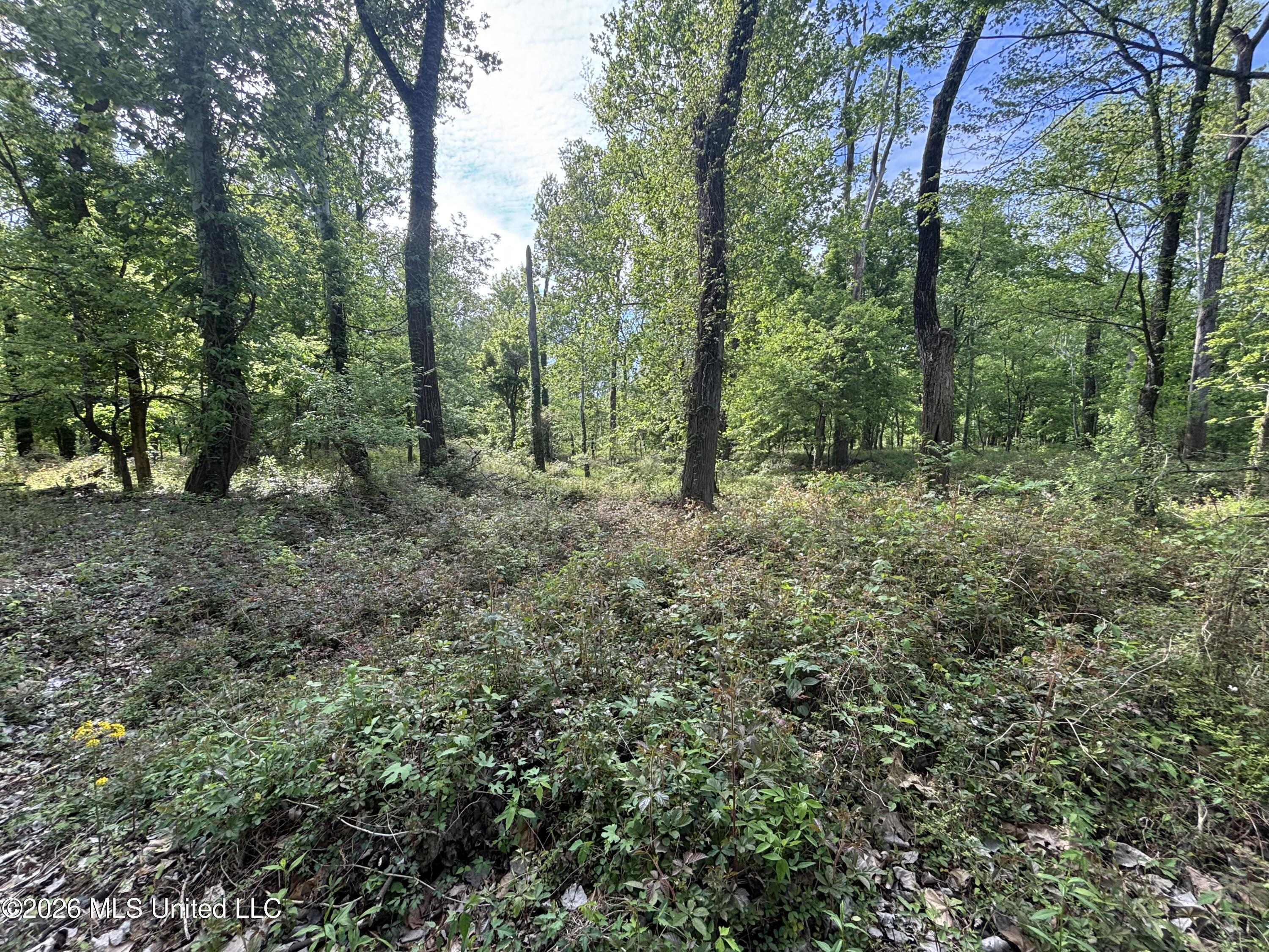 Sparta Road Property Photo 87