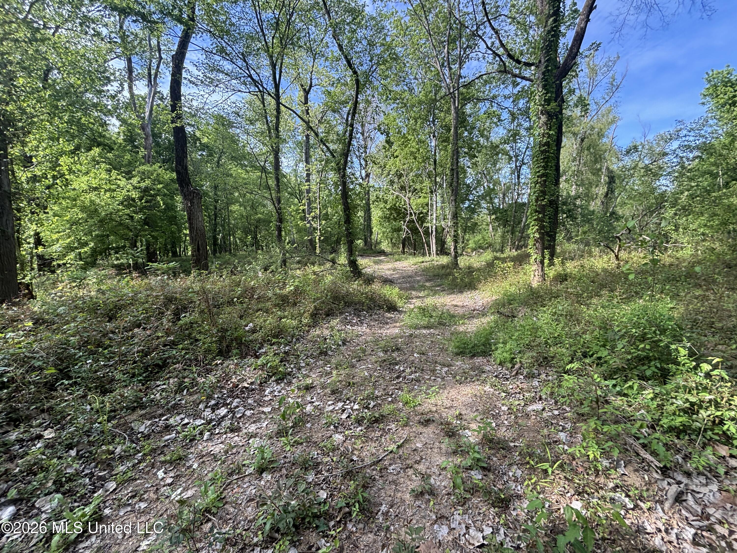 Sparta Road Property Photo 89