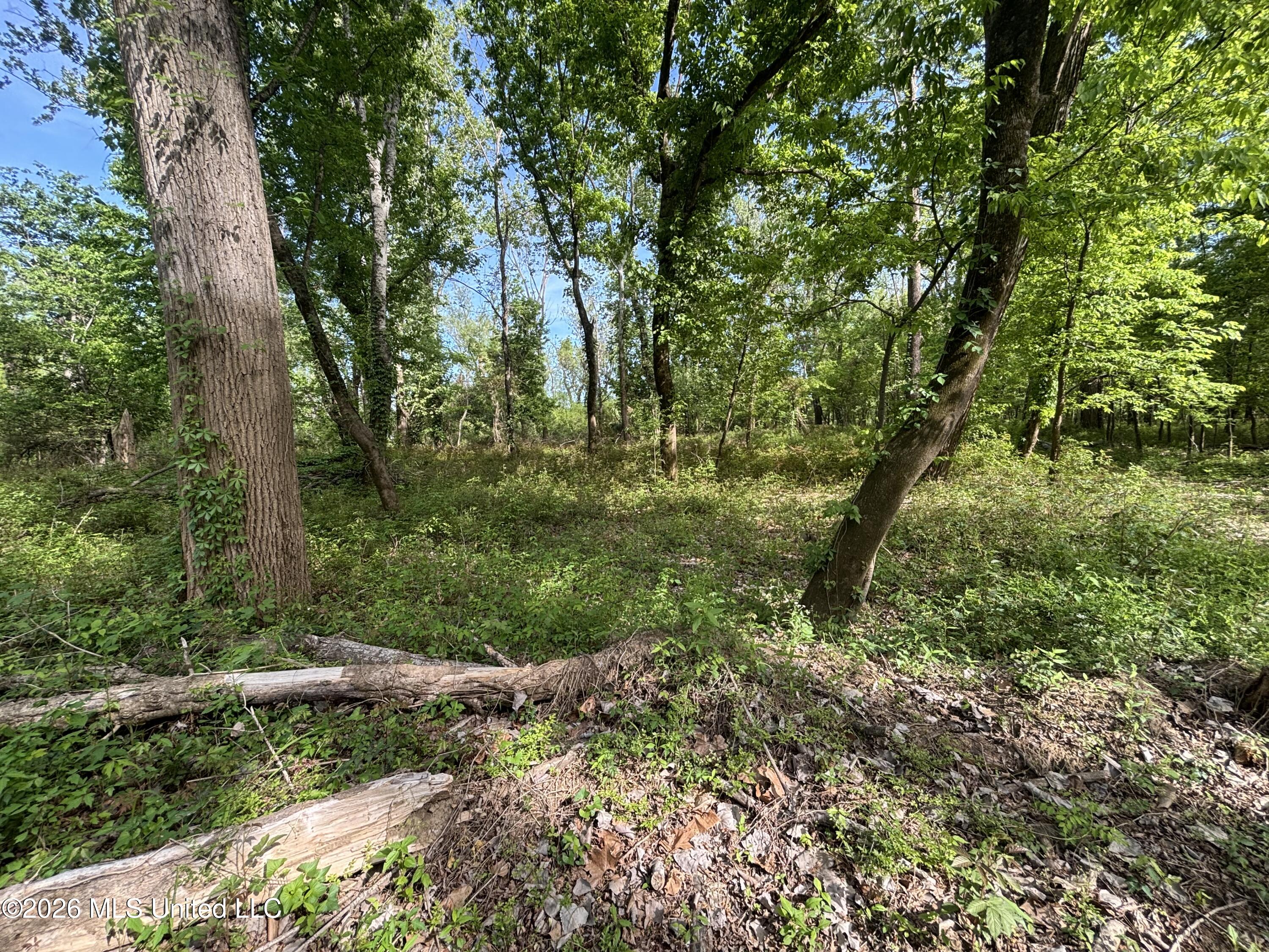Sparta Road Property Photo 91