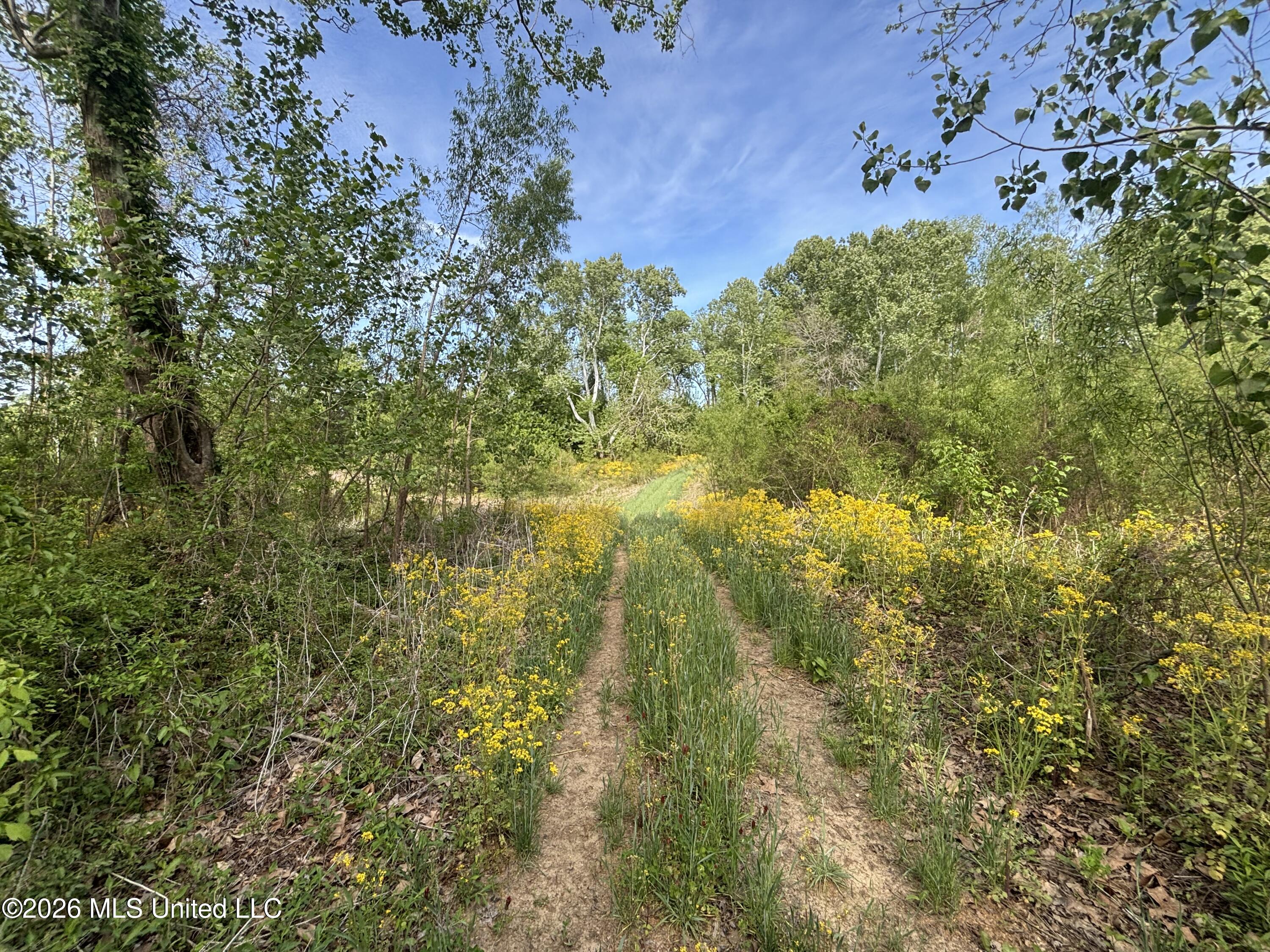 Sparta Road Property Photo 94