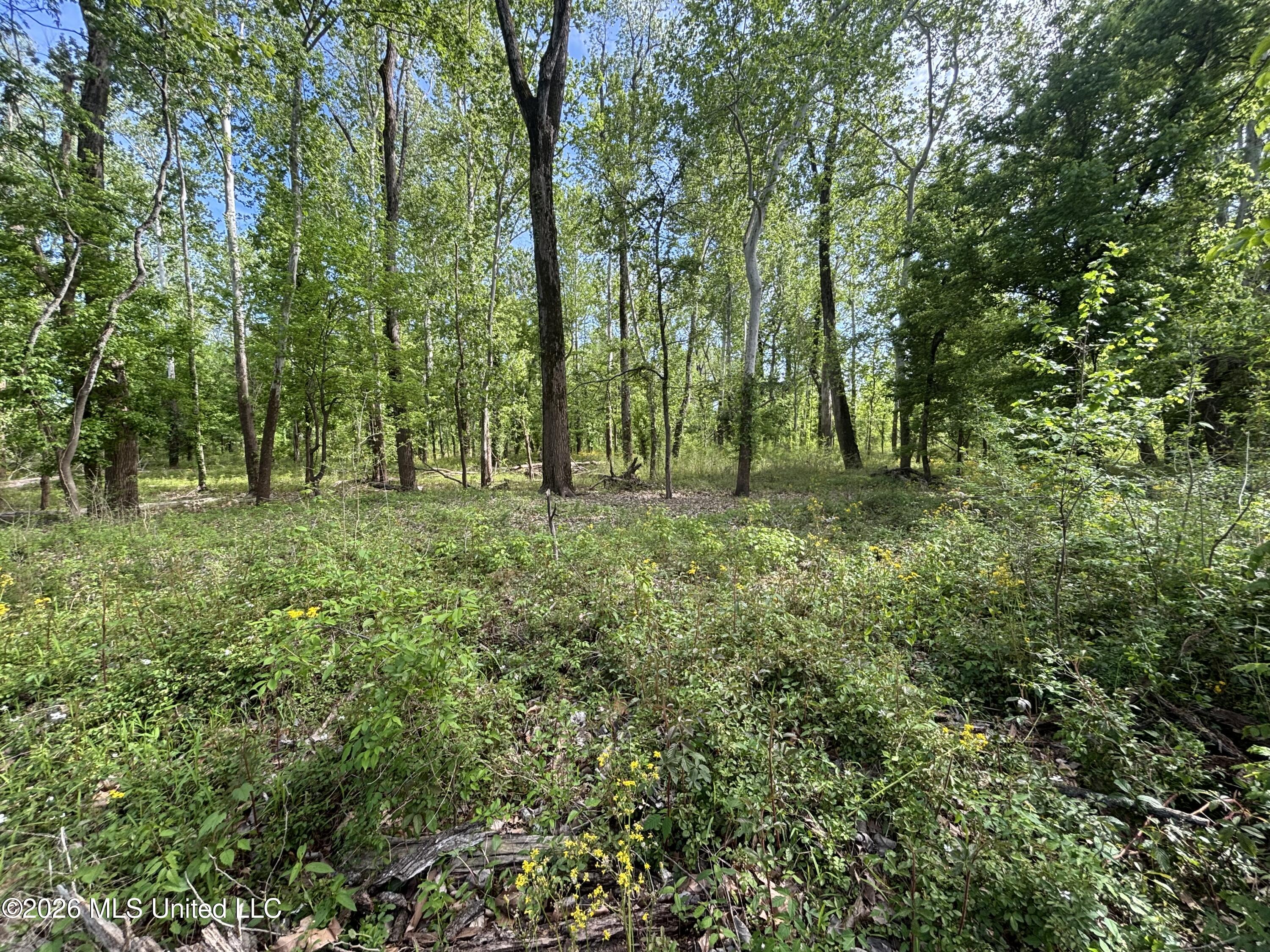 Sparta Road Property Photo 96