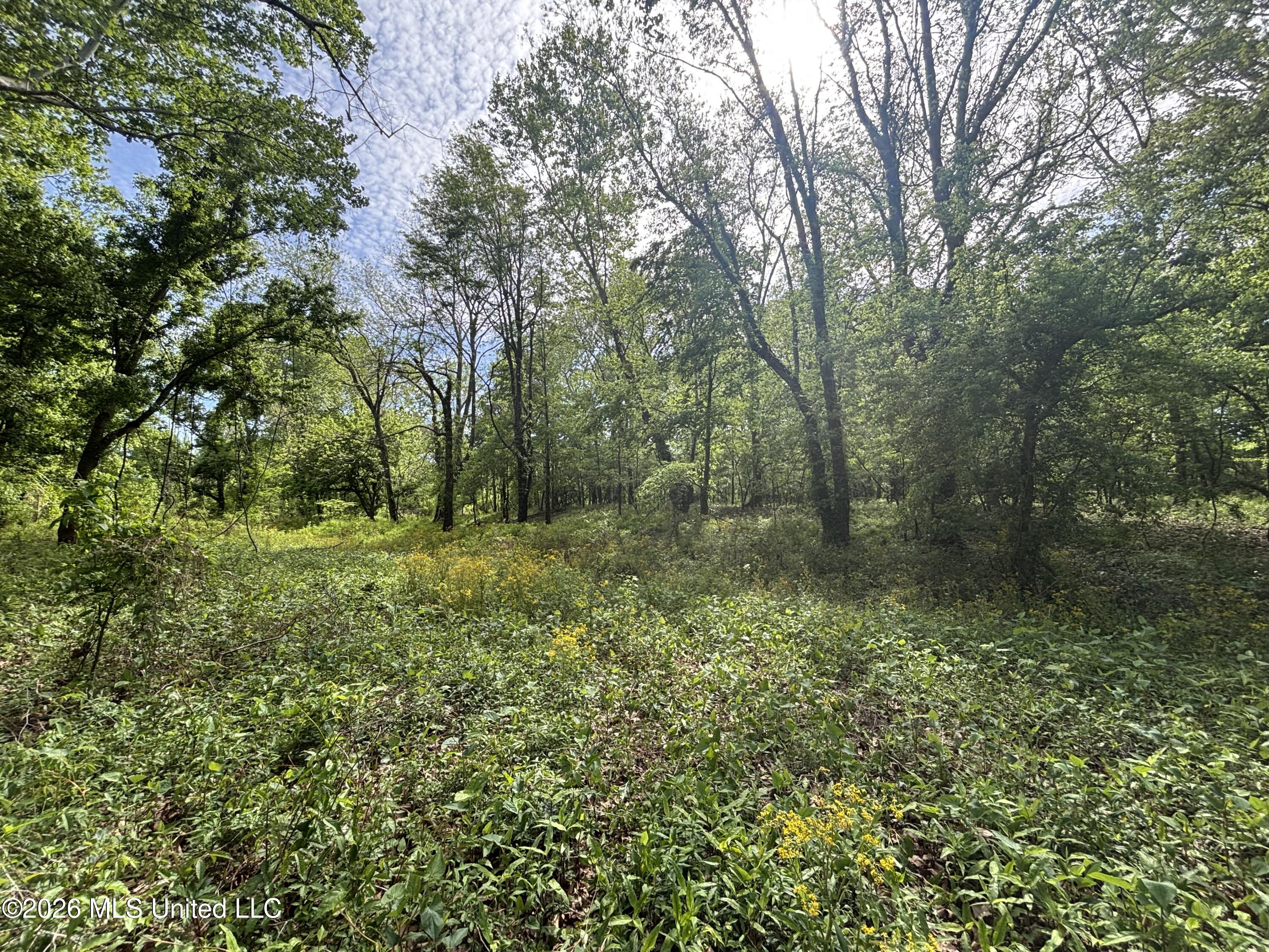 Sparta Road Property Photo 98