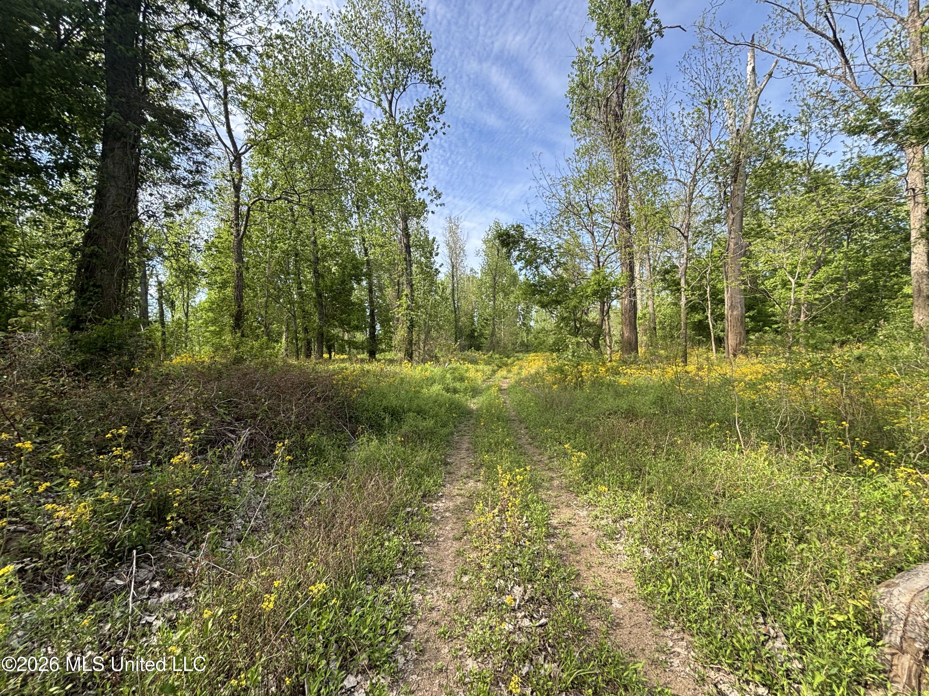 Sparta Road Property Photo 99