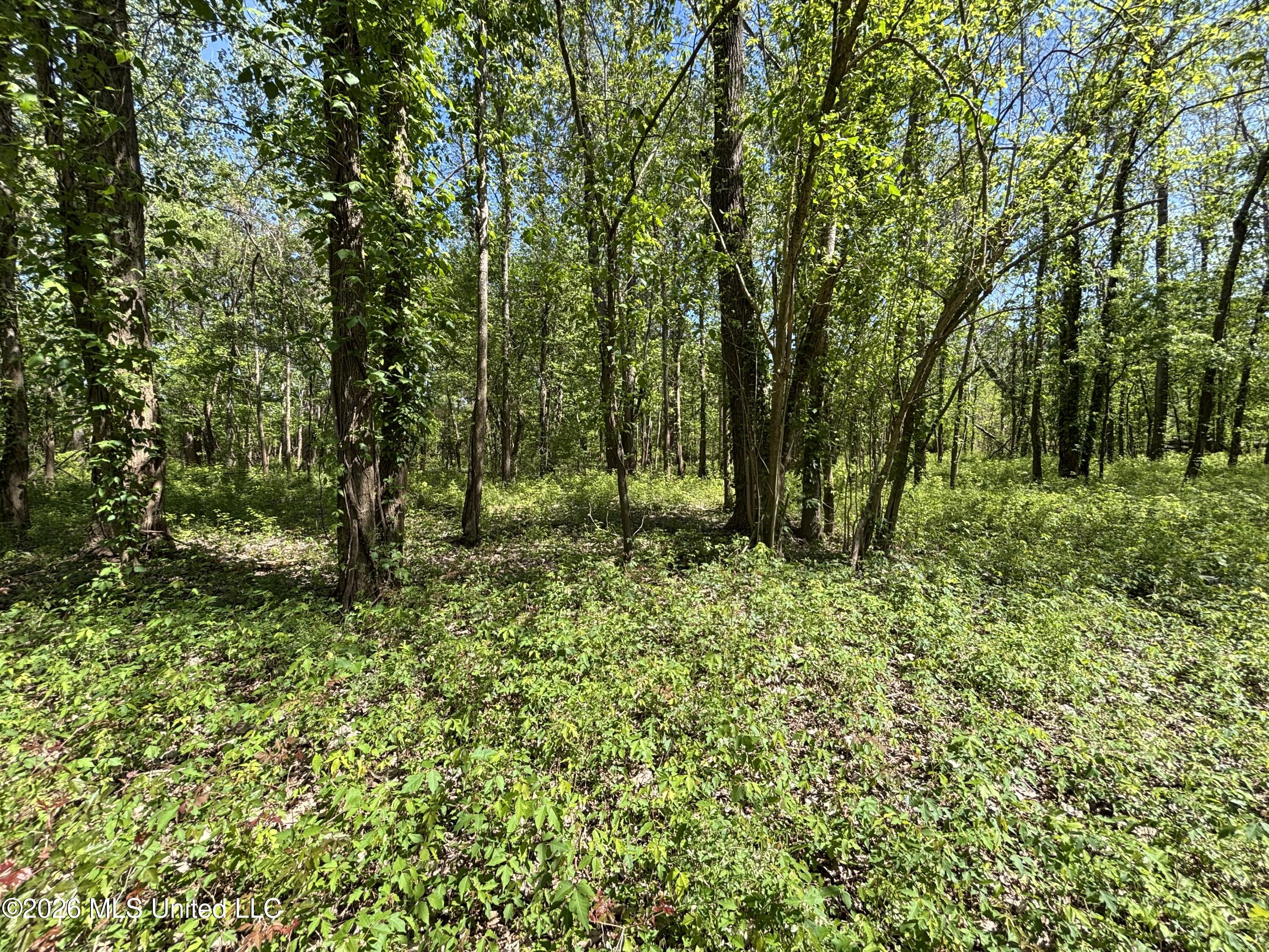 Sparta Road Property Photo 122
