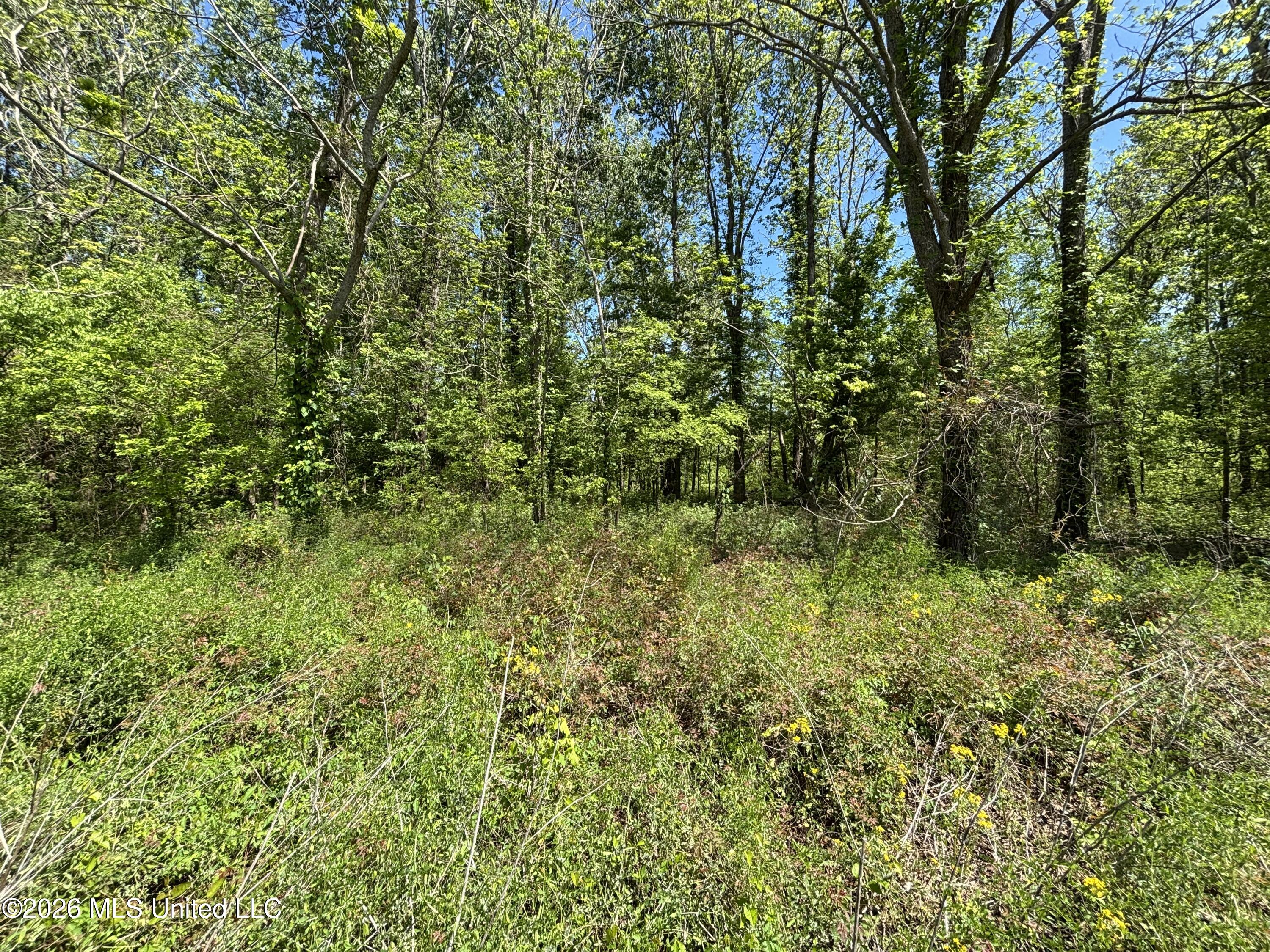 Sparta Road Property Photo 126