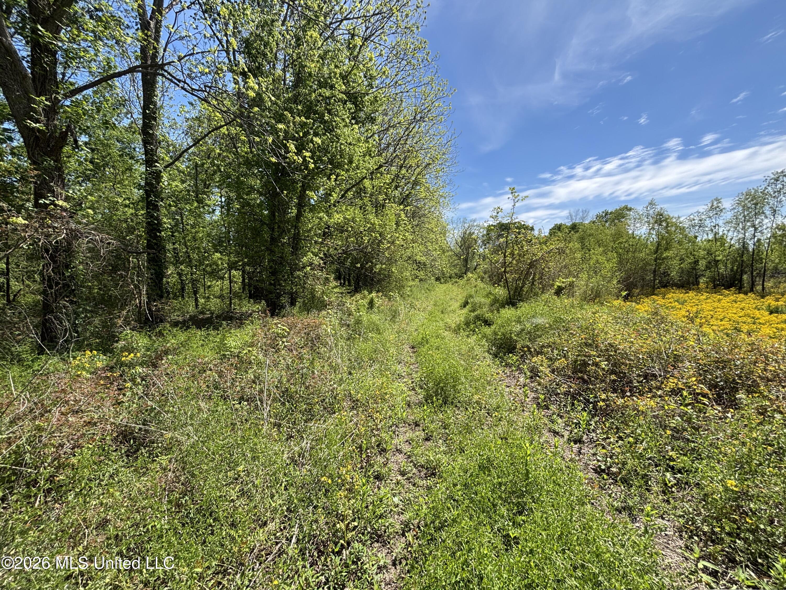 Sparta Road Property Photo 149