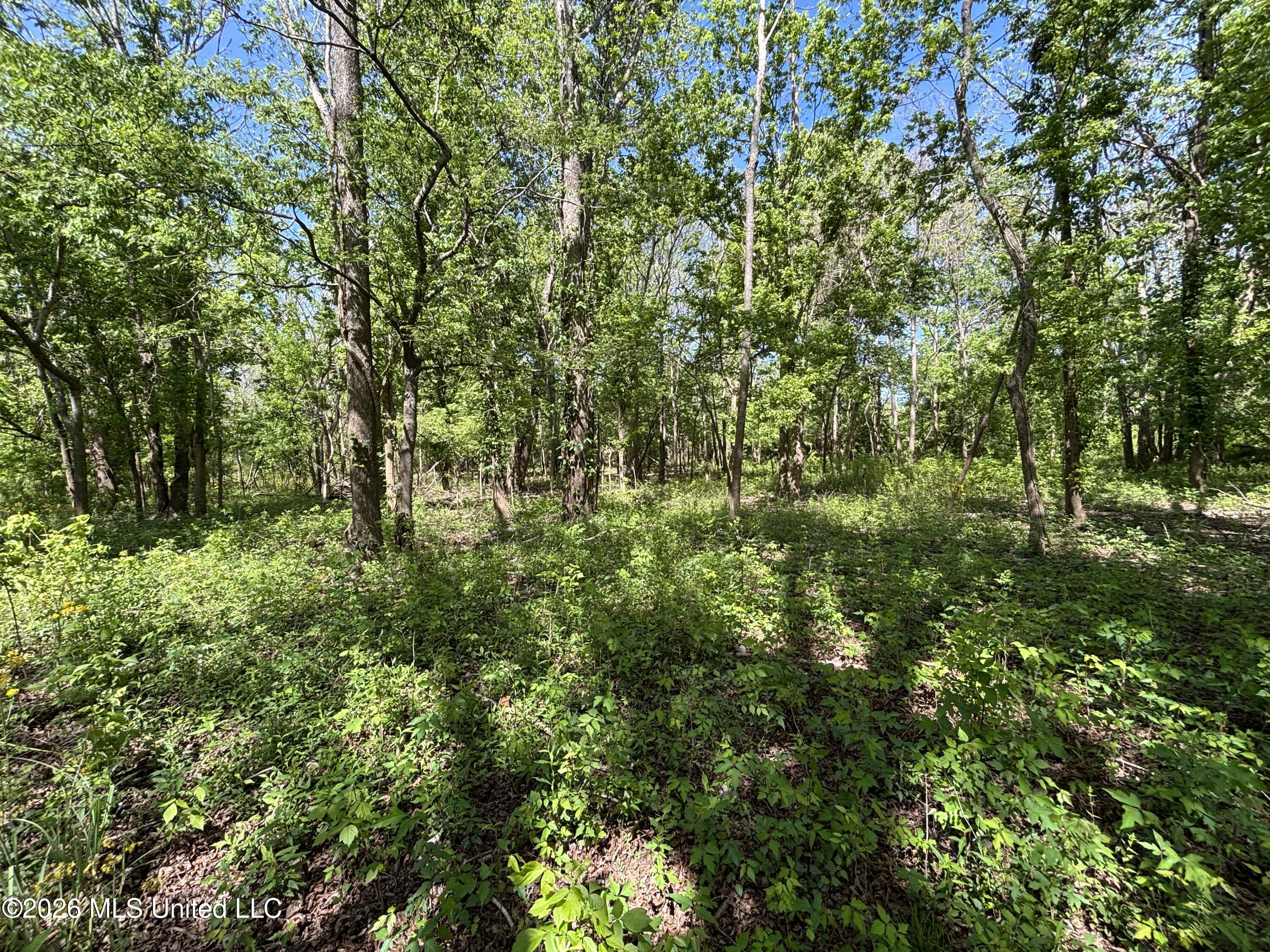 Sparta Road Property Photo 152
