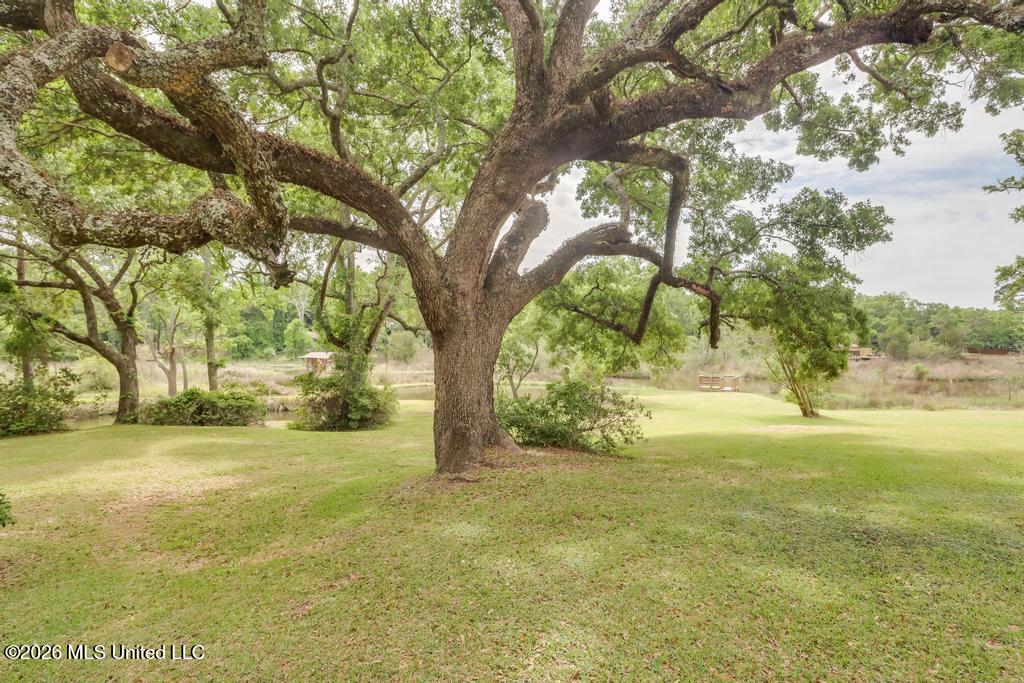 14101 Lemoyne Boulevard Property Photo 2